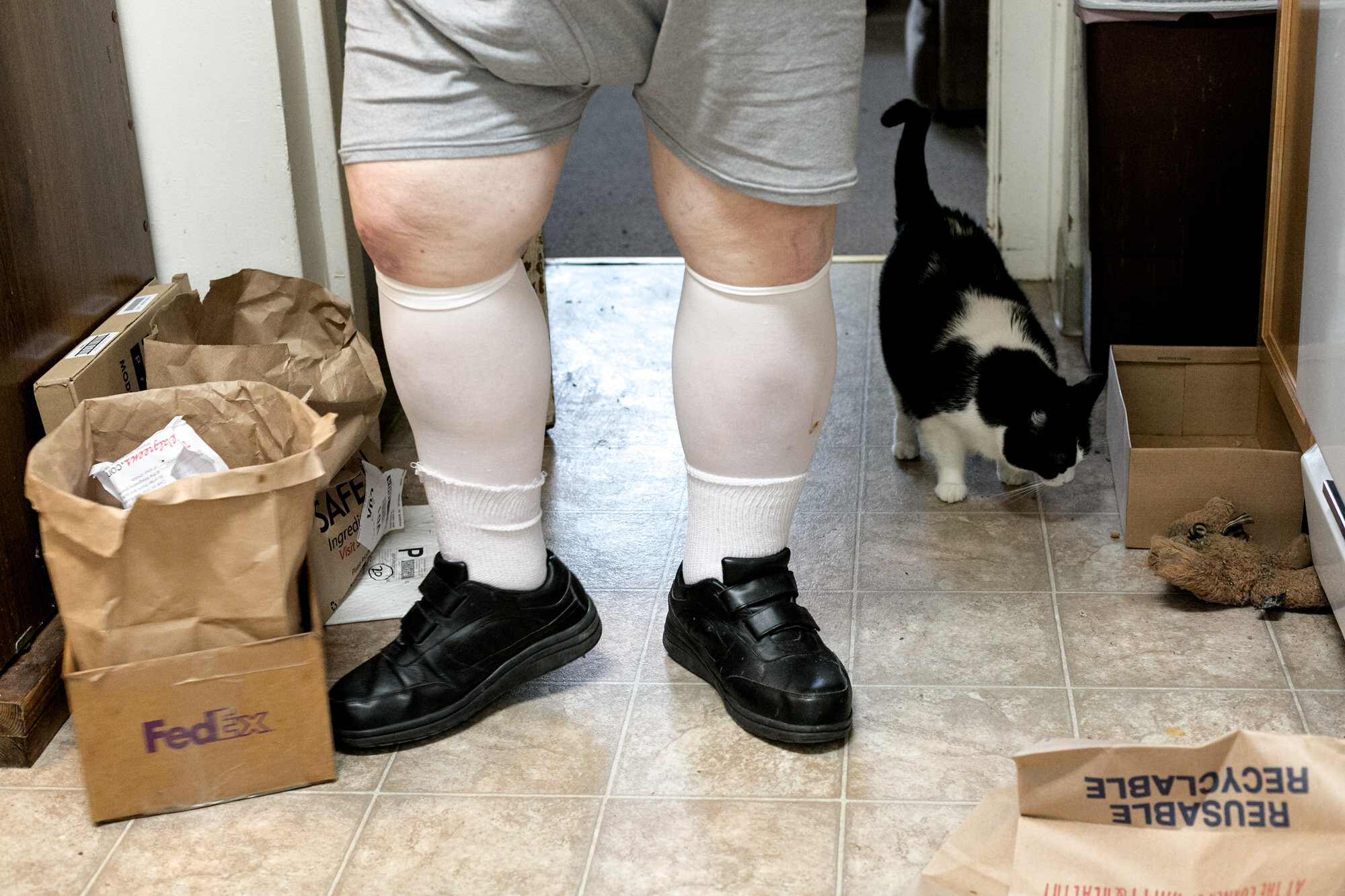 don-case-socks-bags-and-judy-the-cat-web-.jpg