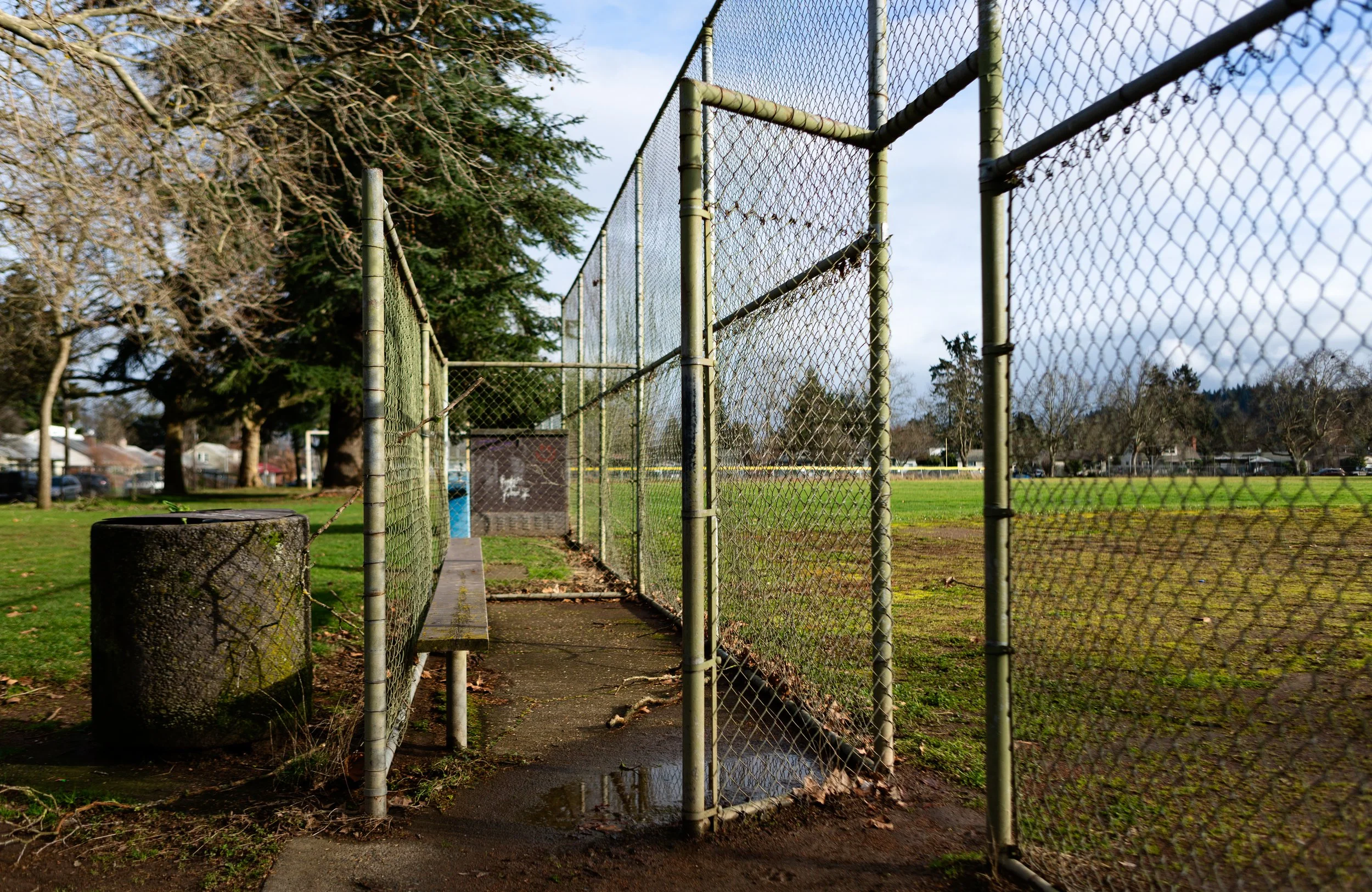 playground-baseball-fence-array-.jpg