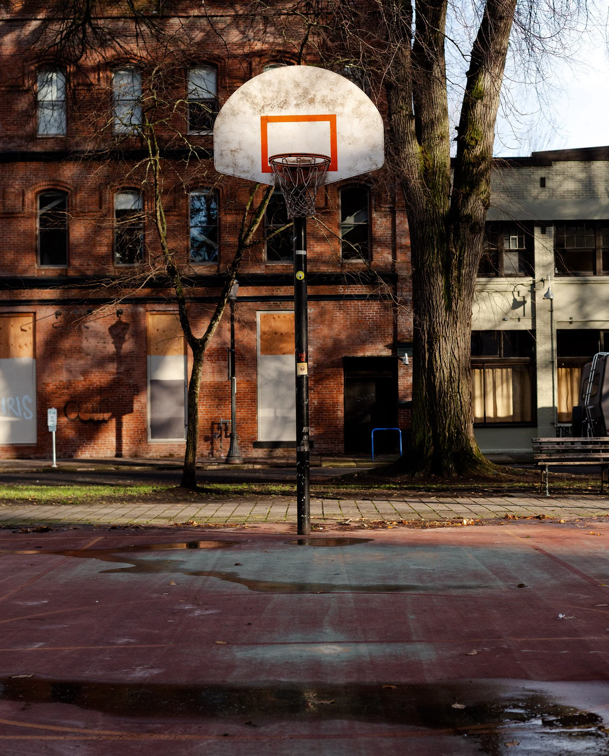 basketball-hoop-portland-park-blocks-(second-try)-.jpg