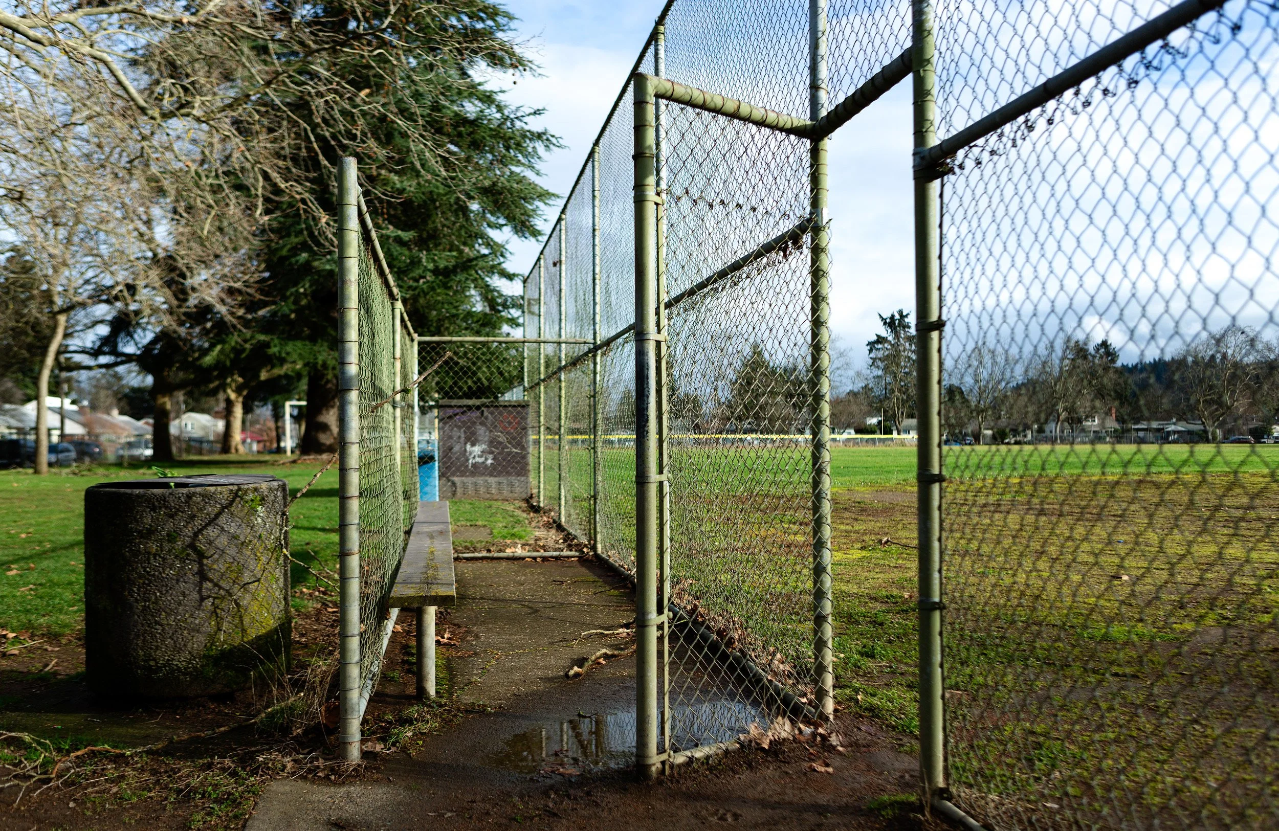 playground-baseball-fence-array-.jpg