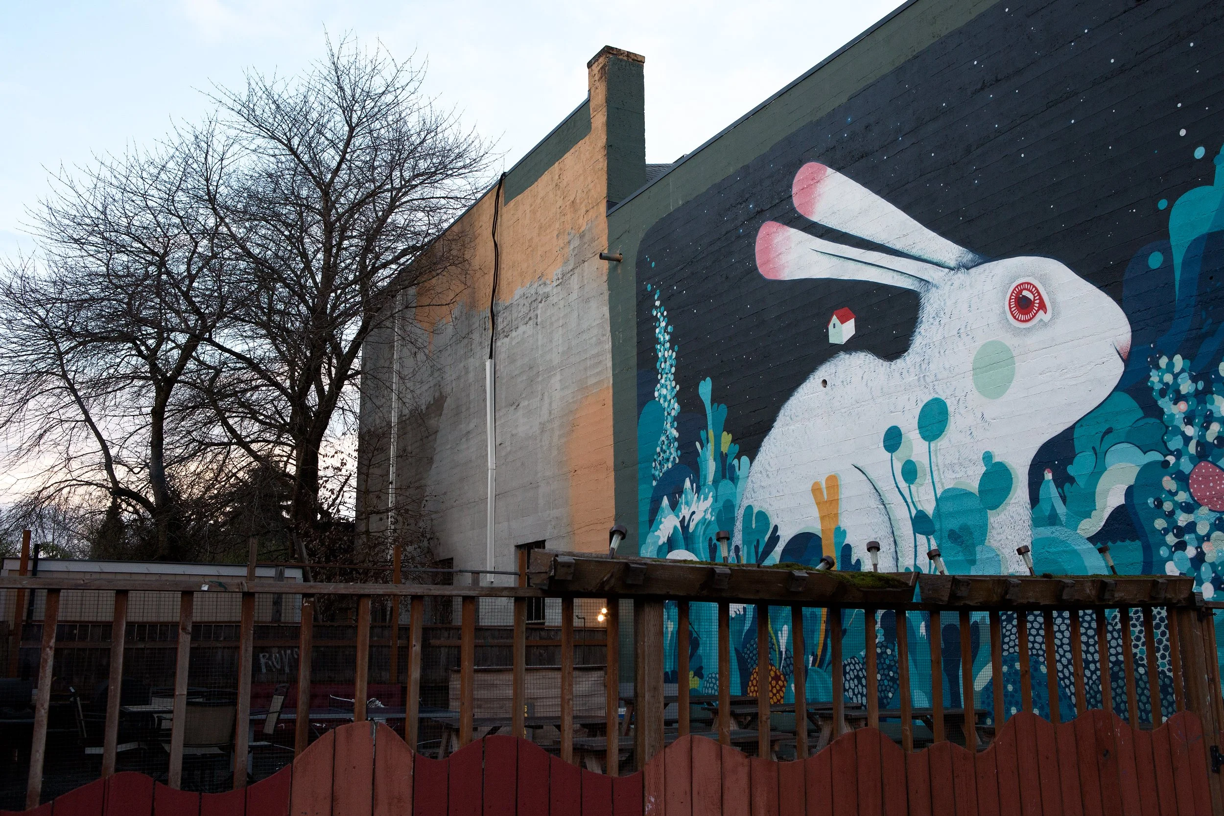 white-rabbit-on-alberta-street-.jpg