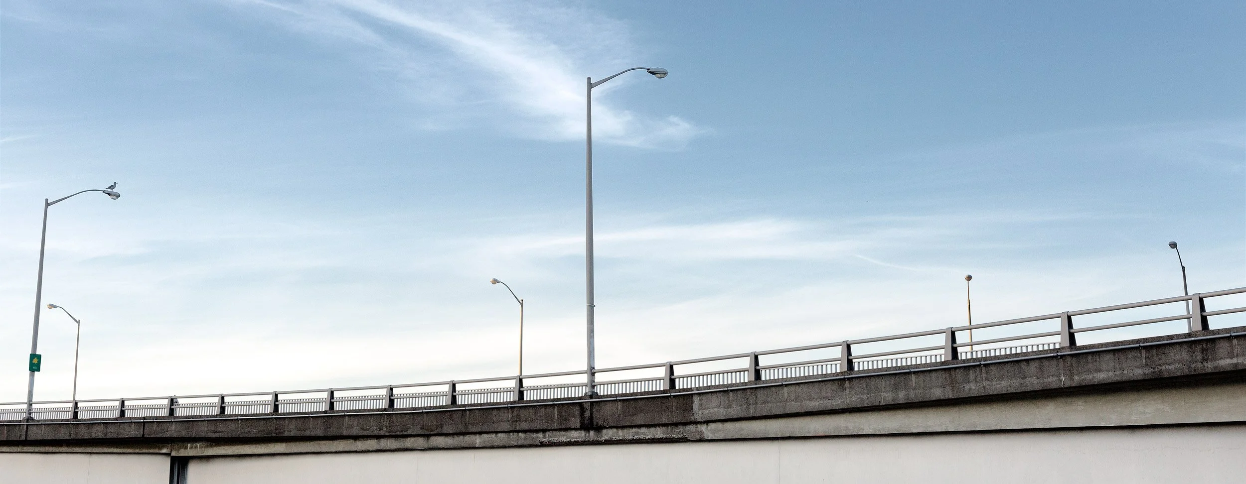 freeway-overpass-lightpoles-and-a-bird--Edit.jpg
