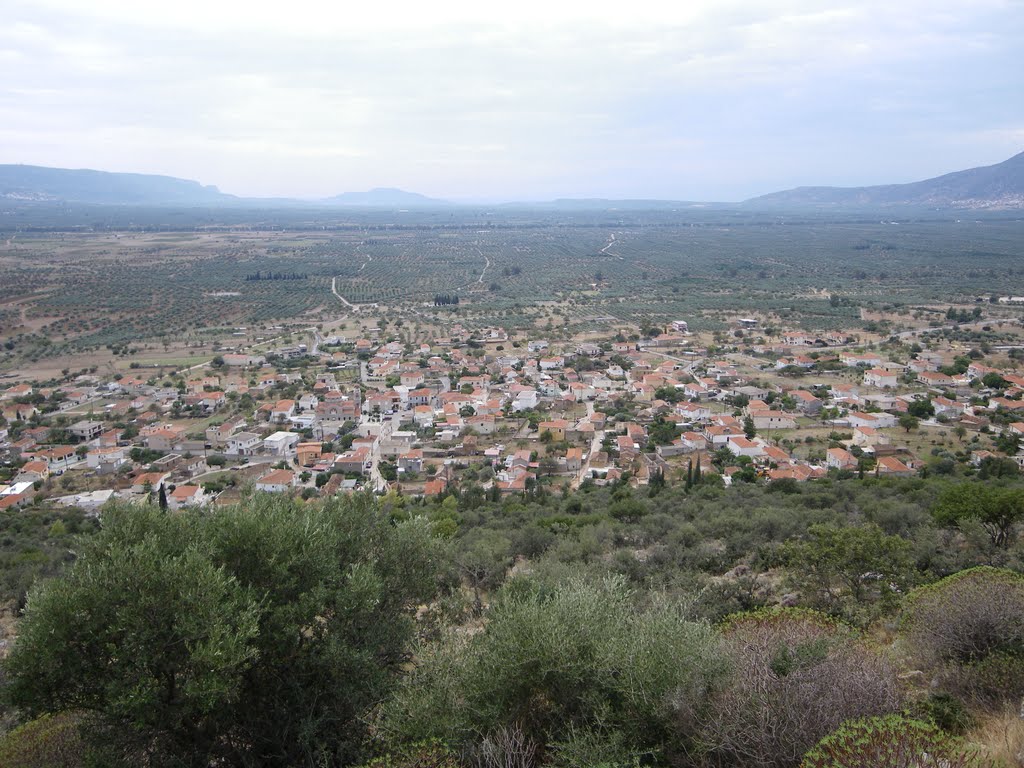 Our Village - Metamorfosi (Μεταμόρφωση)