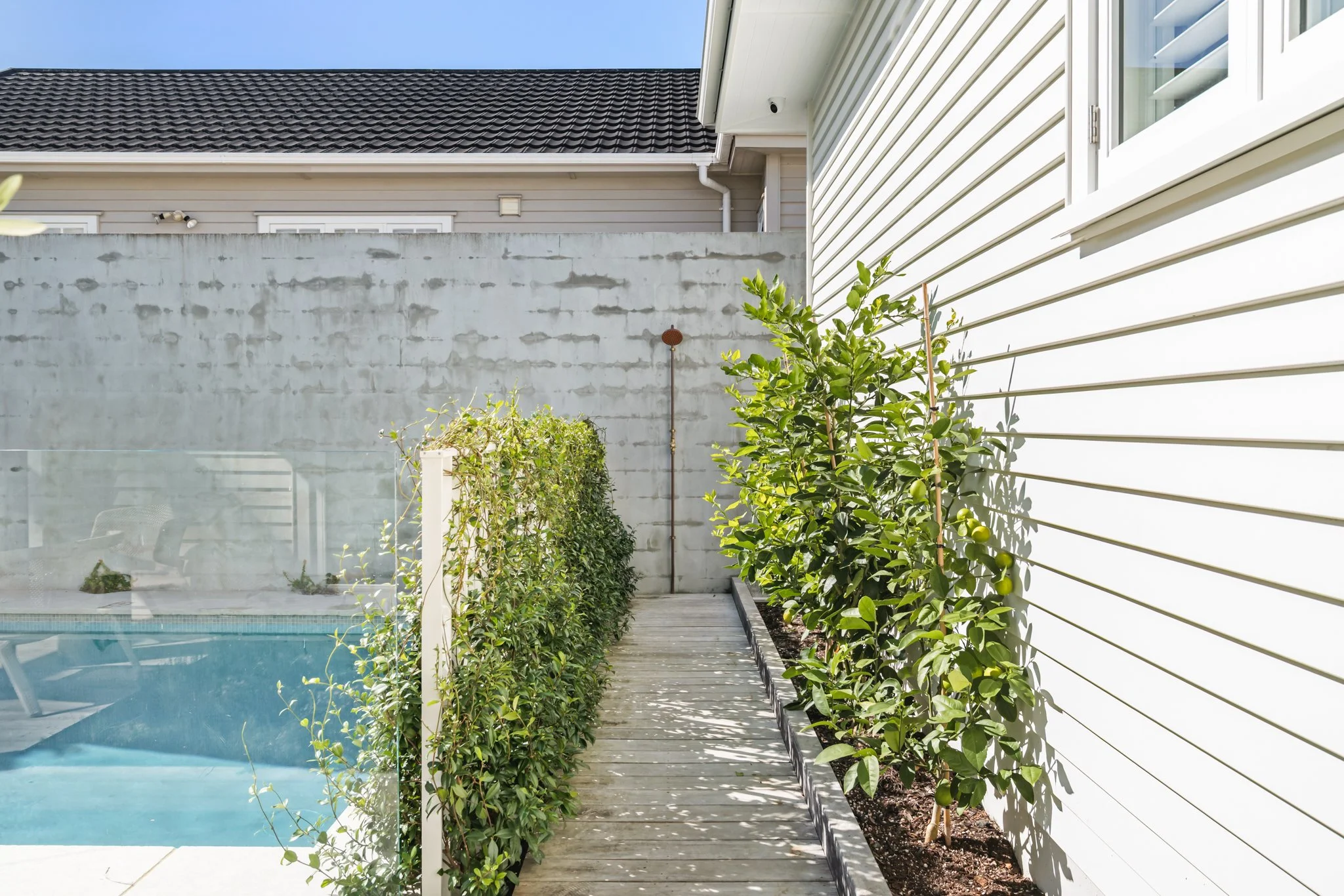 Pool Garden Path and Outdoor Shower — Point Chevalier Bungalow Renovation | Macfie Architecture Auckland