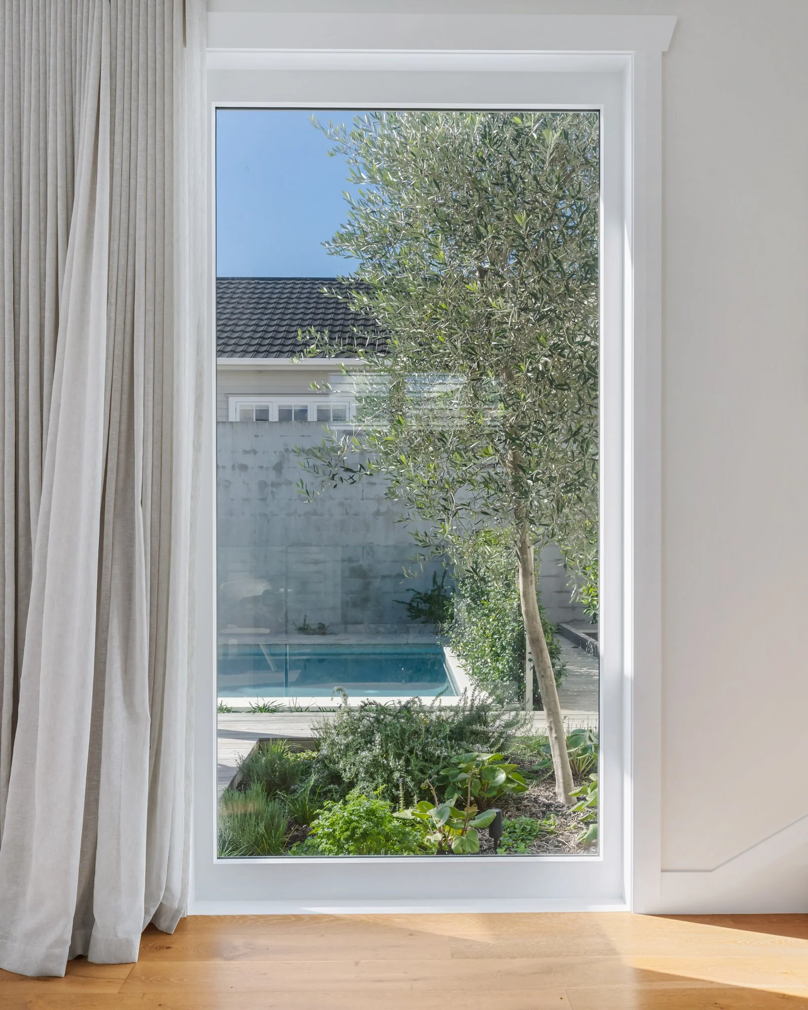 Hallway window framing a mature olive tree, lush garden planting and saltwater pool — garden design by Xanthe White, Point Chevalier bungalow renovation by Macfie Architecture Auckland.