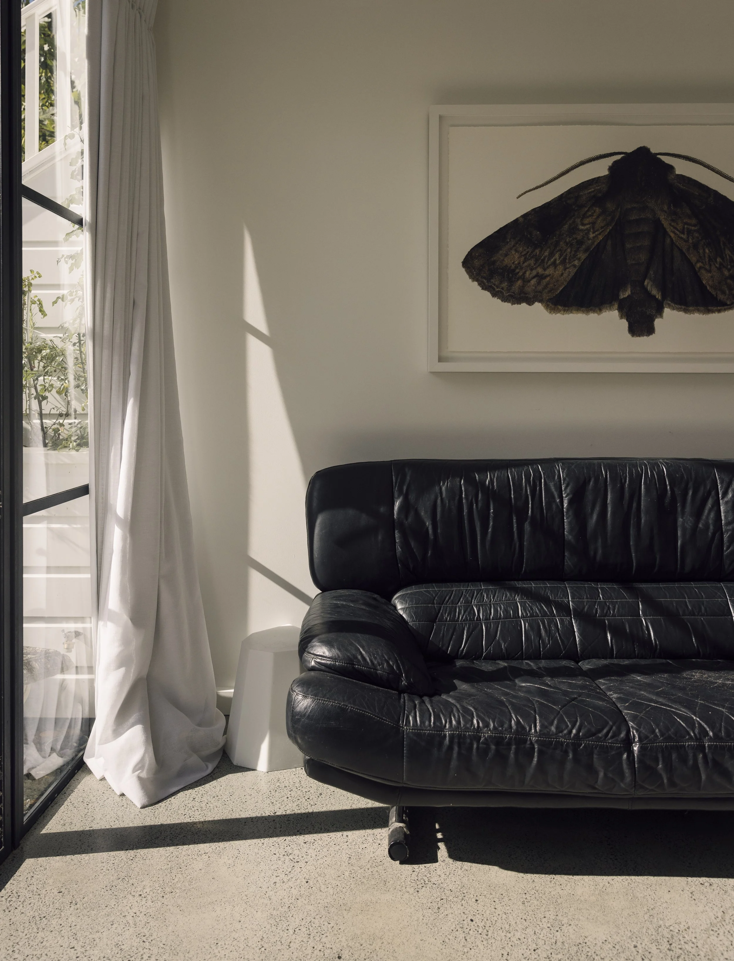 Devonport Villa Basement Studio | Heritage Renovation