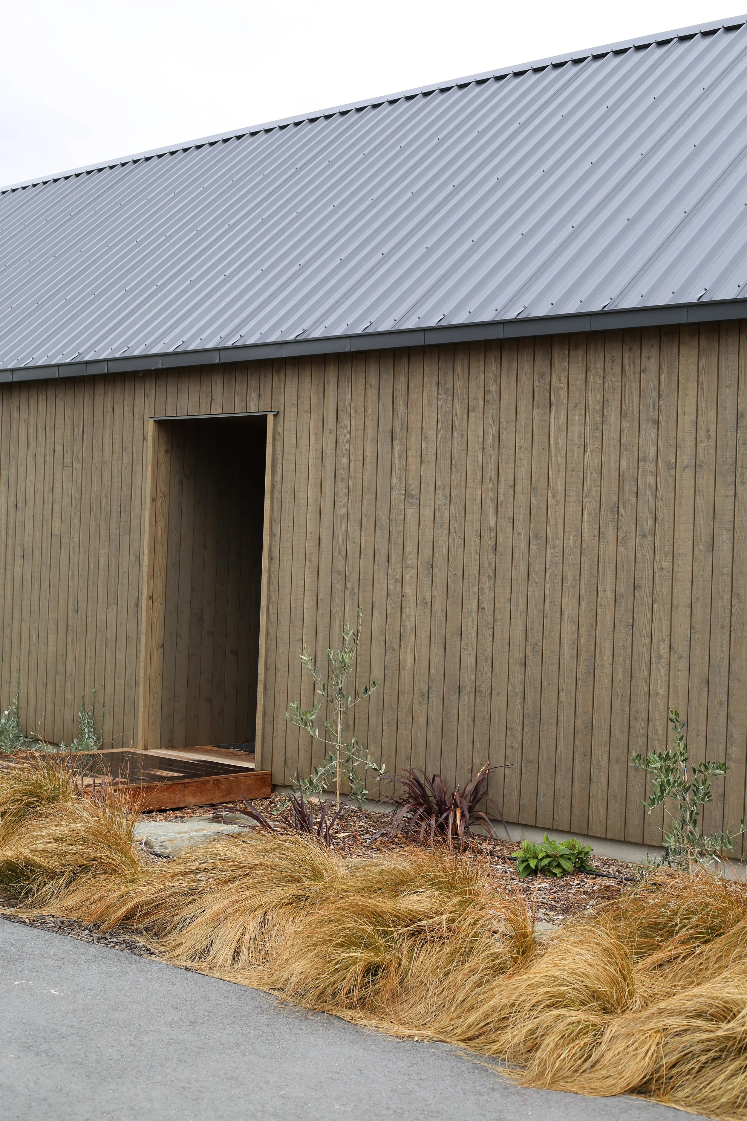 Entry elevation of a Kirimoko Park new-build by Macfie Architecture, with vertical timber cladding, dark long-run steel roof and tussock planting