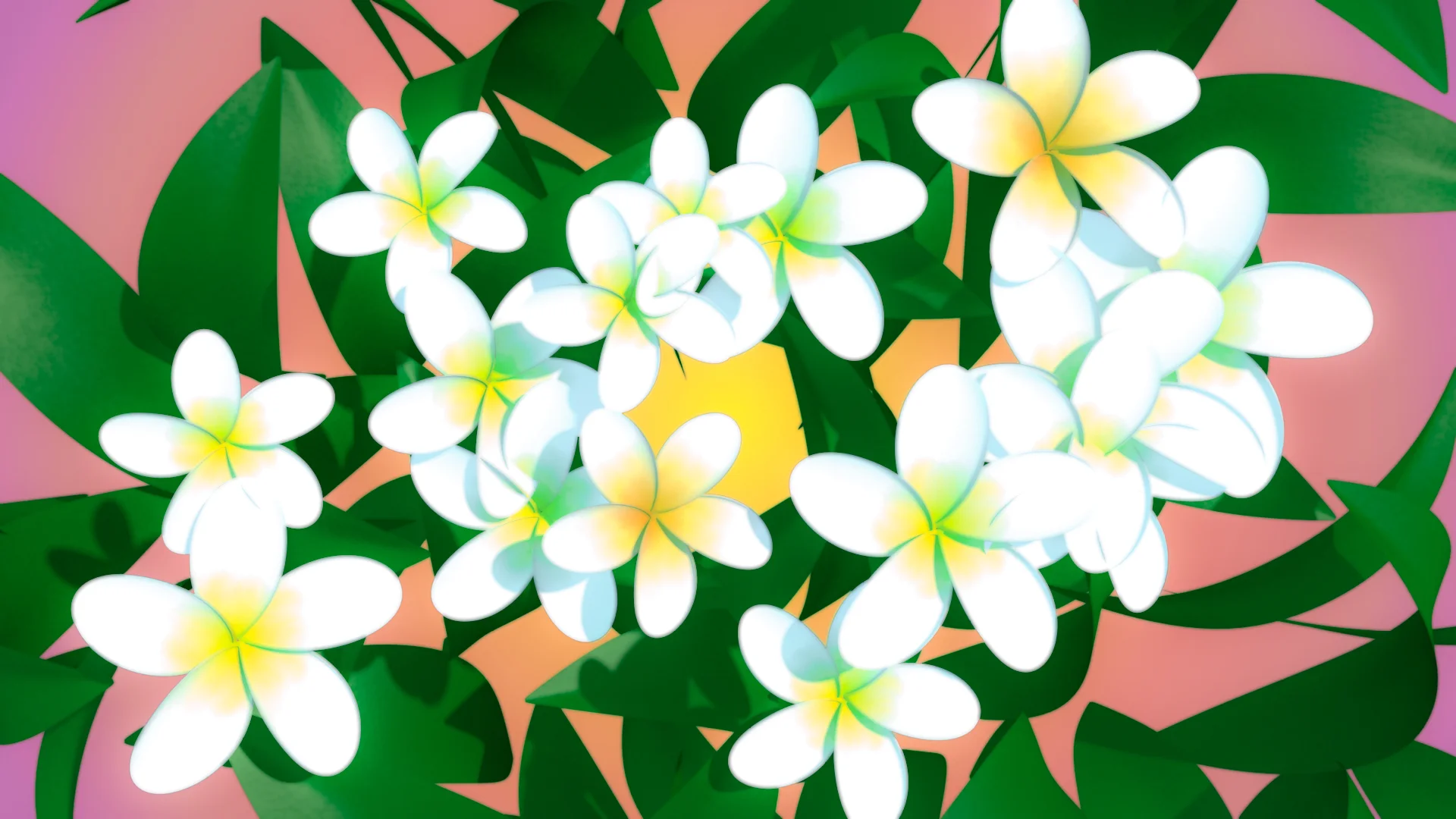 Plumeria