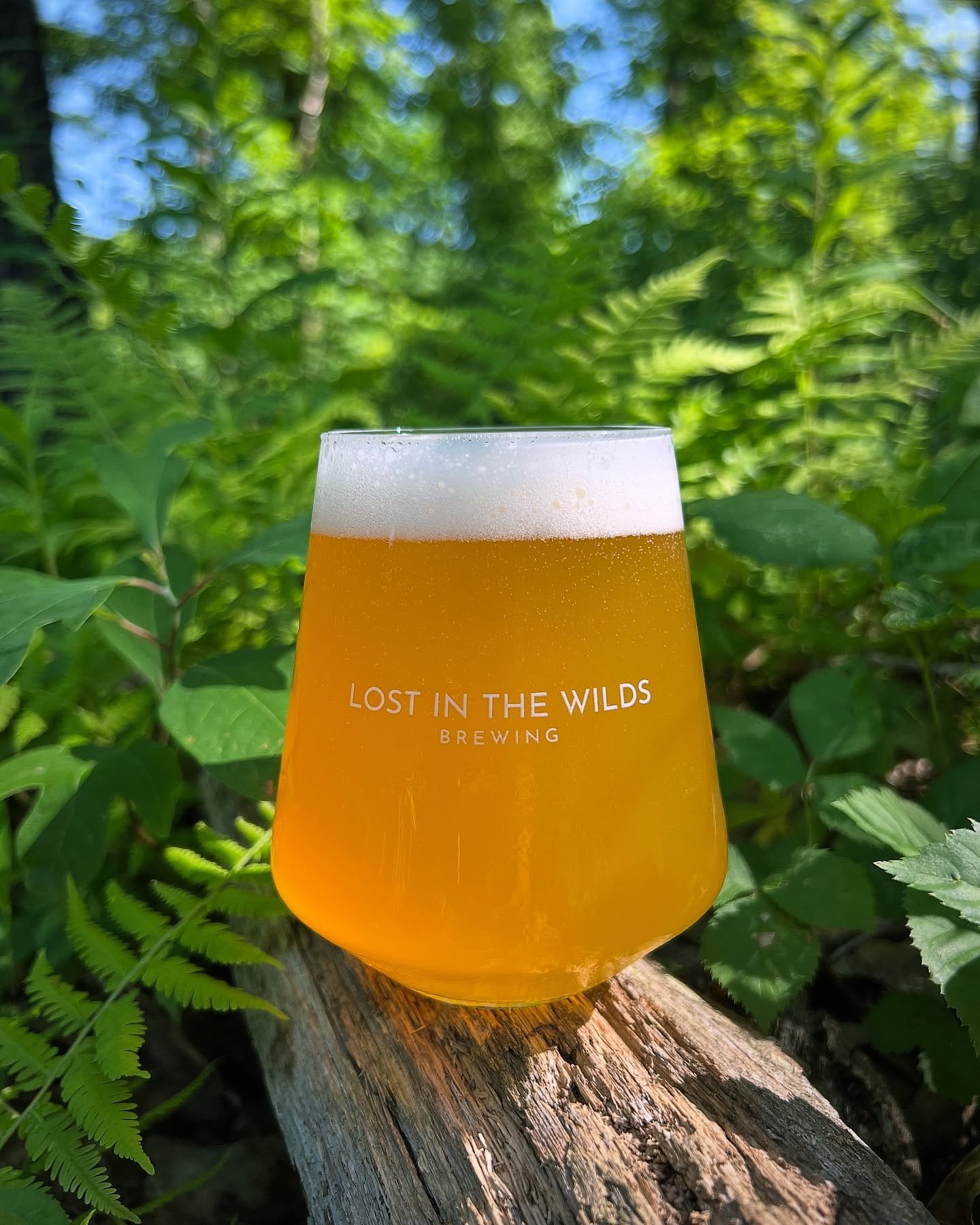 Sunshine + Sour is in the forecast at Lost In The Wilds👌🏻☀️🍻&thinsp;&thinsp;
Our Puckerbrush Fruited Sour - this refreshing tropical sour ale is blended with an infusion of Pink Guava &amp; Passion Fruit making a creative blend of flavor and bold 