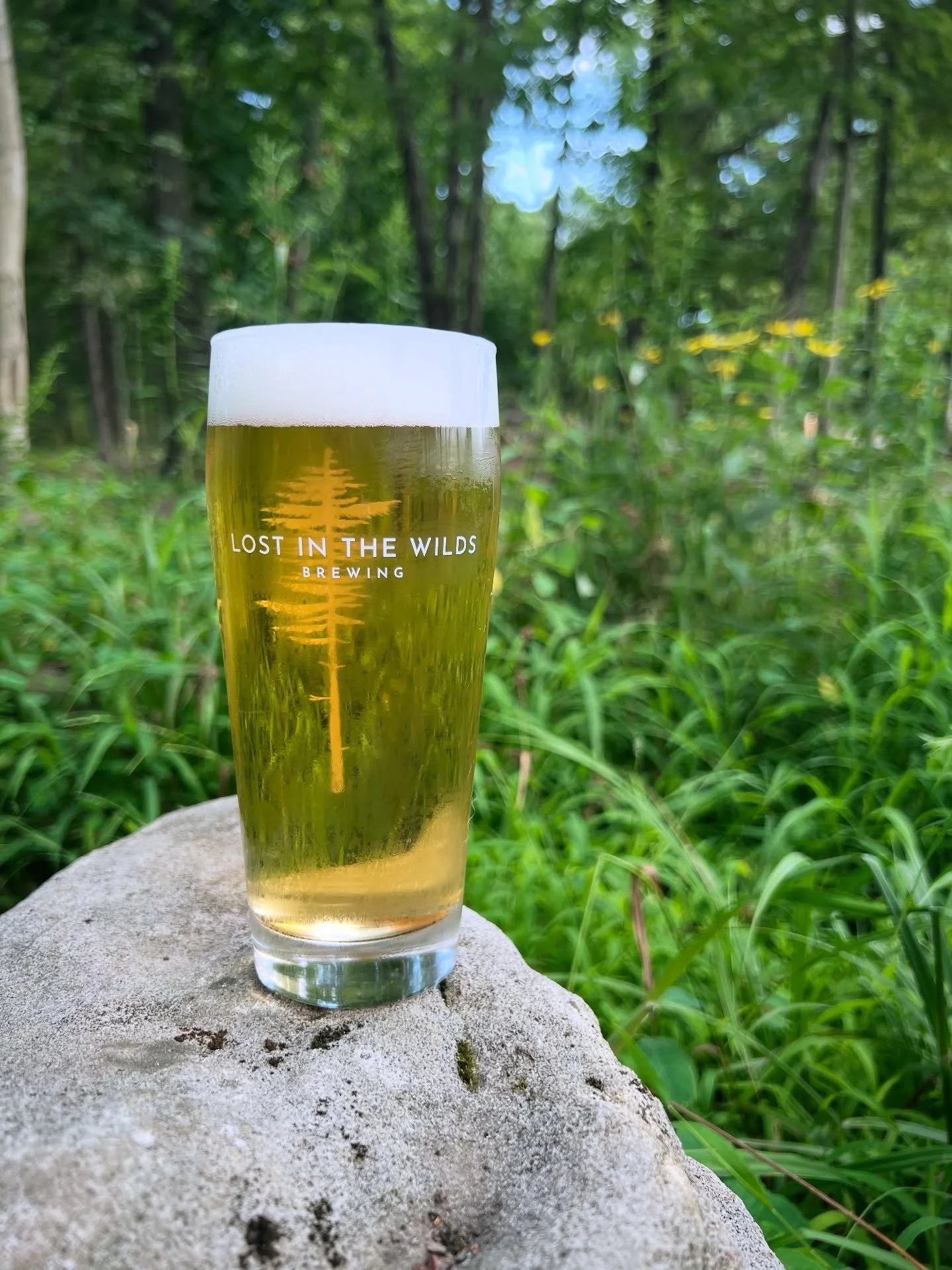 Bright 👌🏻 Crisp 👍🏻 Refreshing 🙌🏻&thinsp;
Our Italian Pilsner is dry hopped with Noble Saphir hops to produce floral aromas and a slightly bitter finish. 5.0% ABV&thinsp;
&thinsp;
#FreshCrispCraftBeer #ItalianPilsner&thinsp;
#PACraftBeer #PAWild