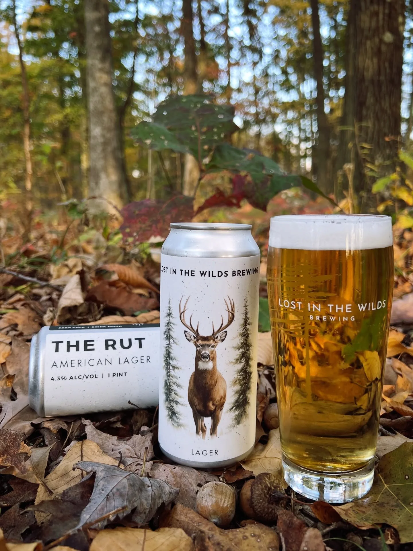 The Rut 🦌🍻 Our Traditional American Lager. &thinsp;Light color &amp; body, finishes crisp &amp; clean. Perfect for celebrating the hunt or stories of the one that got away. 4.3% ABV&thinsp;&thinsp;
&thinsp;&thinsp;
#AmericanLager #DeerSeason #Hunti