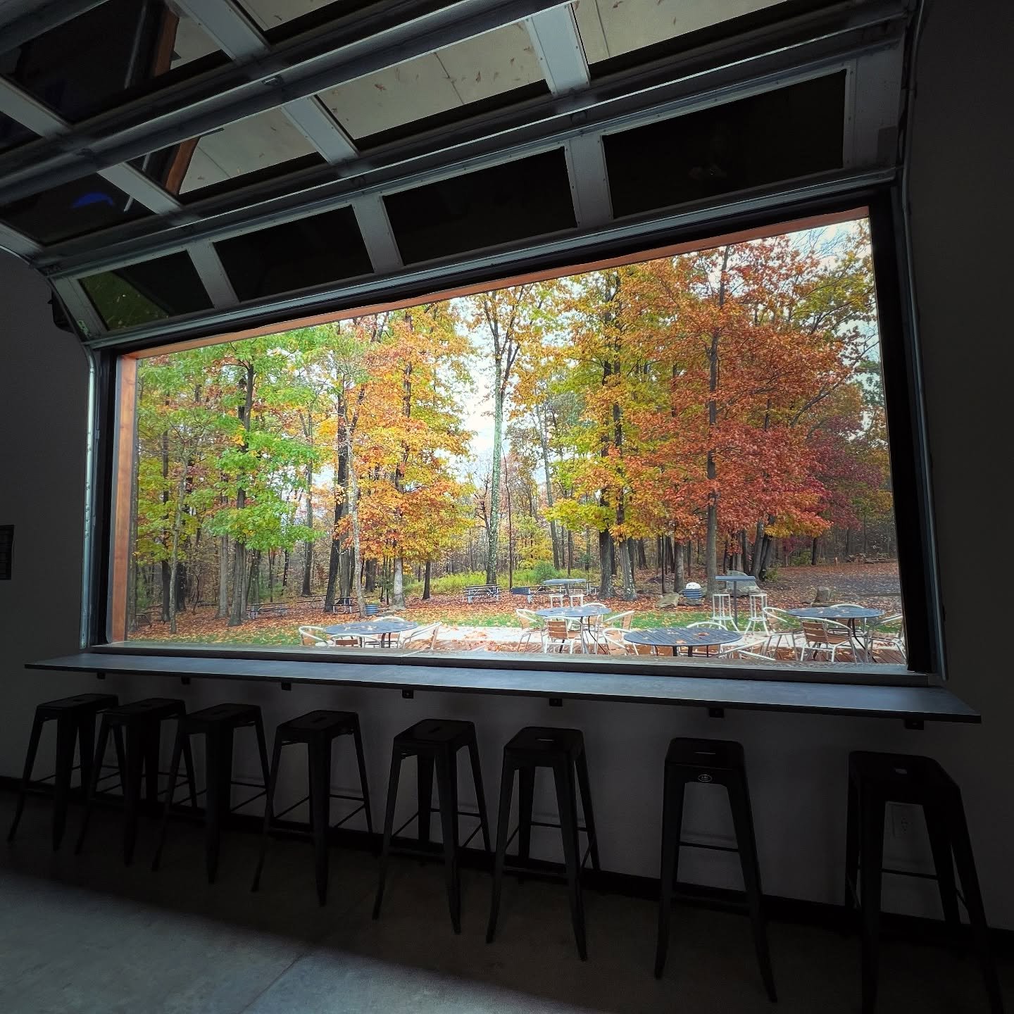 These taproom views won&rsquo;t last long 🤩🍻🍂&thinsp;
&thinsp;
#NorthwestPA #AllTheColors #FallInTheWilds &thinsp;
#PACraftBeer #PAWilds #PAMade #HandCraftedBeer #SupportYourLocalBrewery #DrinkLocal #BeerTastesBetterInTheWilds &trade;️ #LostInTheW