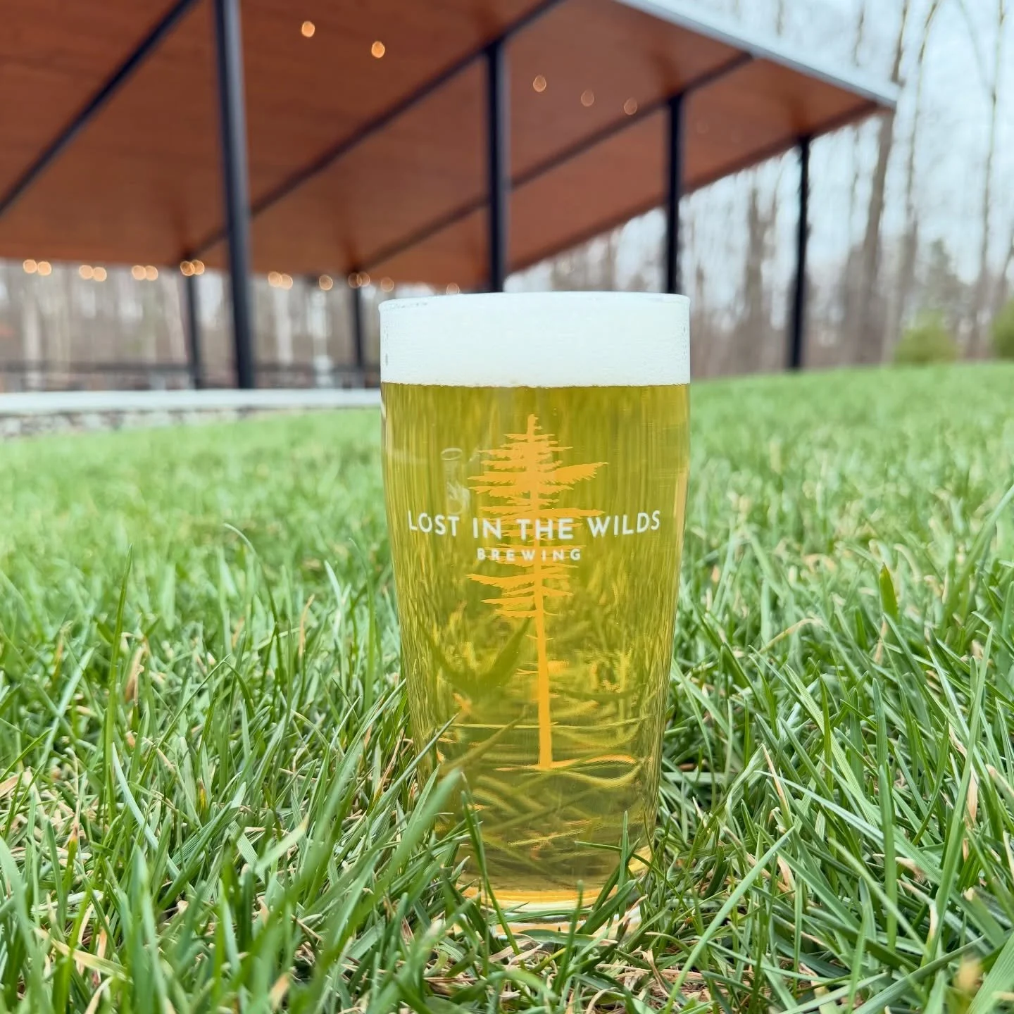 Fresh air, fresh beer🌿🍻&thinsp;
Our Italian Pilsner is now on tap and ready for outdoor season. Bright, Crisp, Refreshing. Dry hopped with Noble Saphir hops to produce floral aromas and a slightly bitter finish. 5.0% ABV&thinsp;
&thinsp;
#ItalianPi