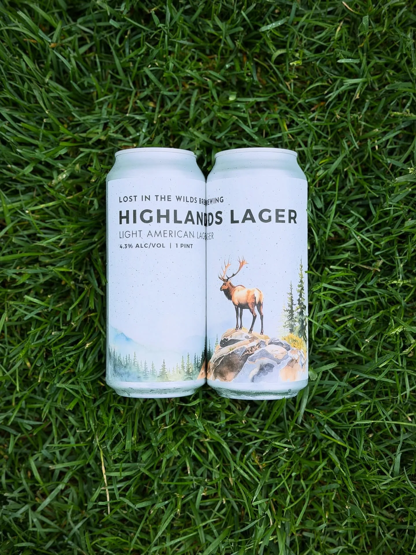 Our Highlands Lager has been a staple in our taproom.. but did you know, we now have 4-packs to-go!!🍻

Grab a few cans and take the crisp, easy-drinking vibes with you wherever you&rsquo;re headed. 🏕️🚤🚲🏝️

#LightLager #AmericanLager #TakeSomeToG