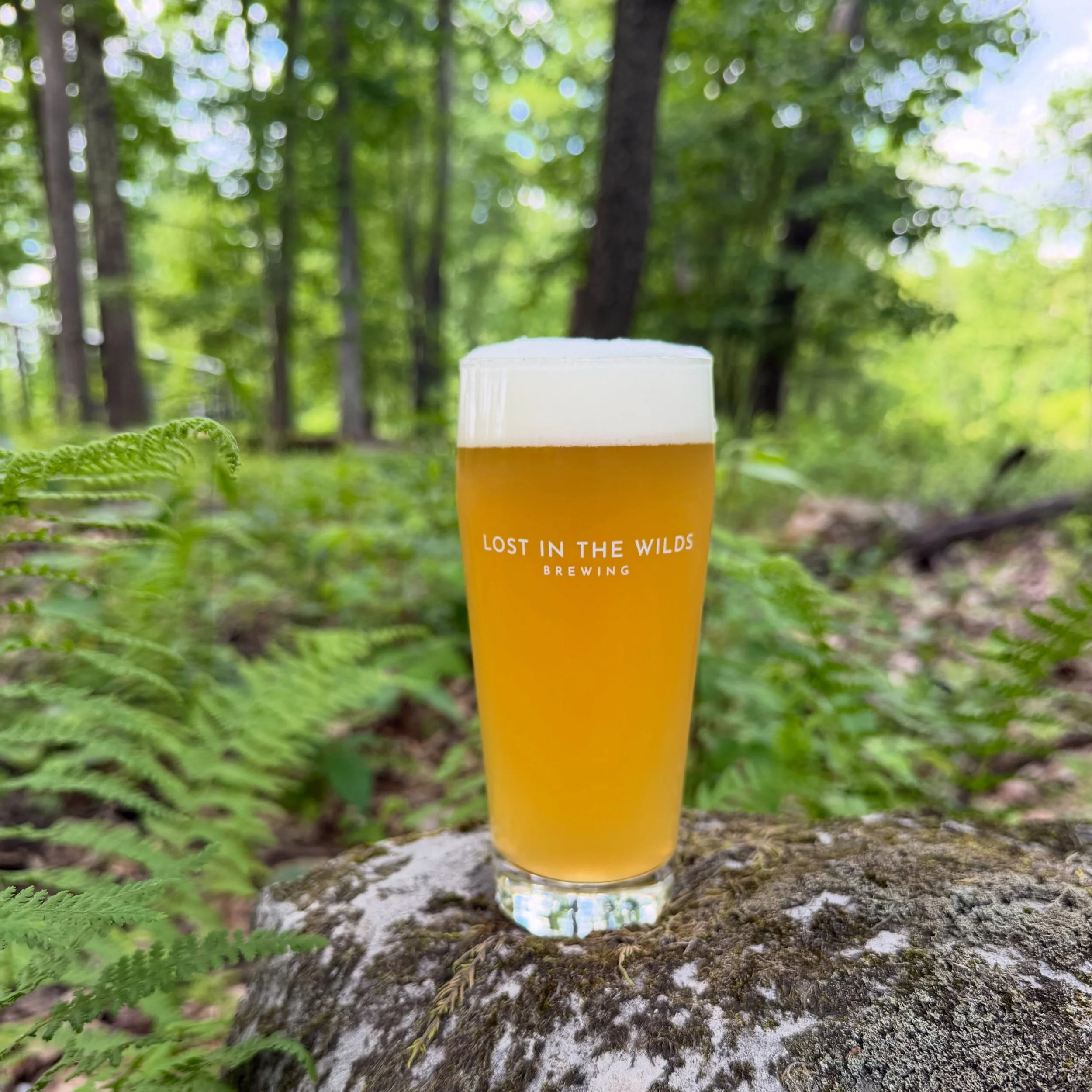 Hazy, crushable, and ready for the wild🍻🌿
Our Basecamp Session IPA is your new go-to beer for summer adventures. Silky and light-bodied with a punchy, tropical fruit-candy profile. Easy drinking with a low ABV. Dolcita, Amarillo. ABV 4.1%
⠀
#Baseca