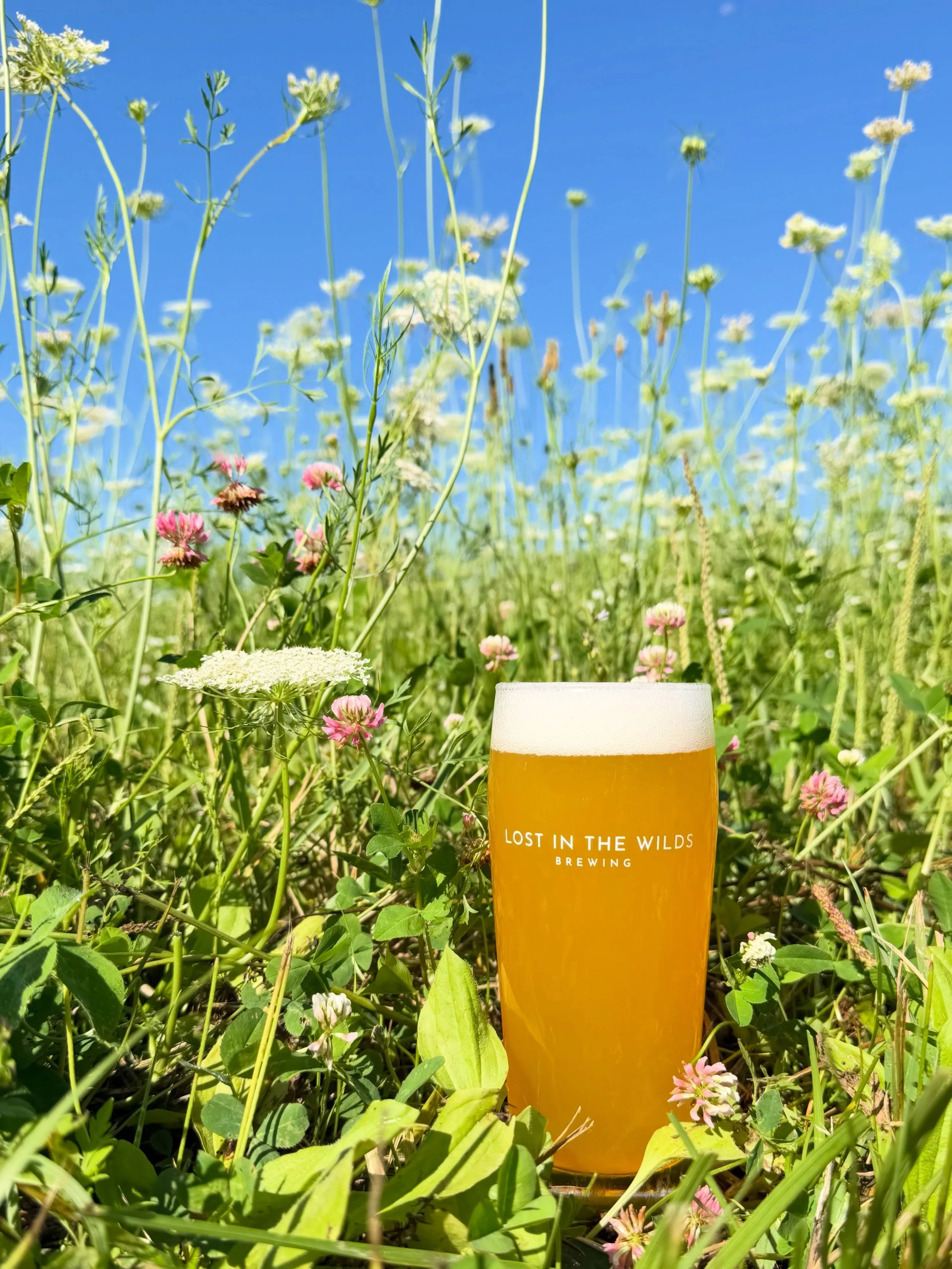Summer isn&rsquo;t over yet! ☀️🍊
⠀
Soak up every last bit of sunshine with our Mandarine Wheat&mdash;a light bodied American wheat beer featuring fresh Tangerine for a bright citrus finish. ABV 4.3%
⠀
Stop by for a pint or a 4-pack to-go before the 