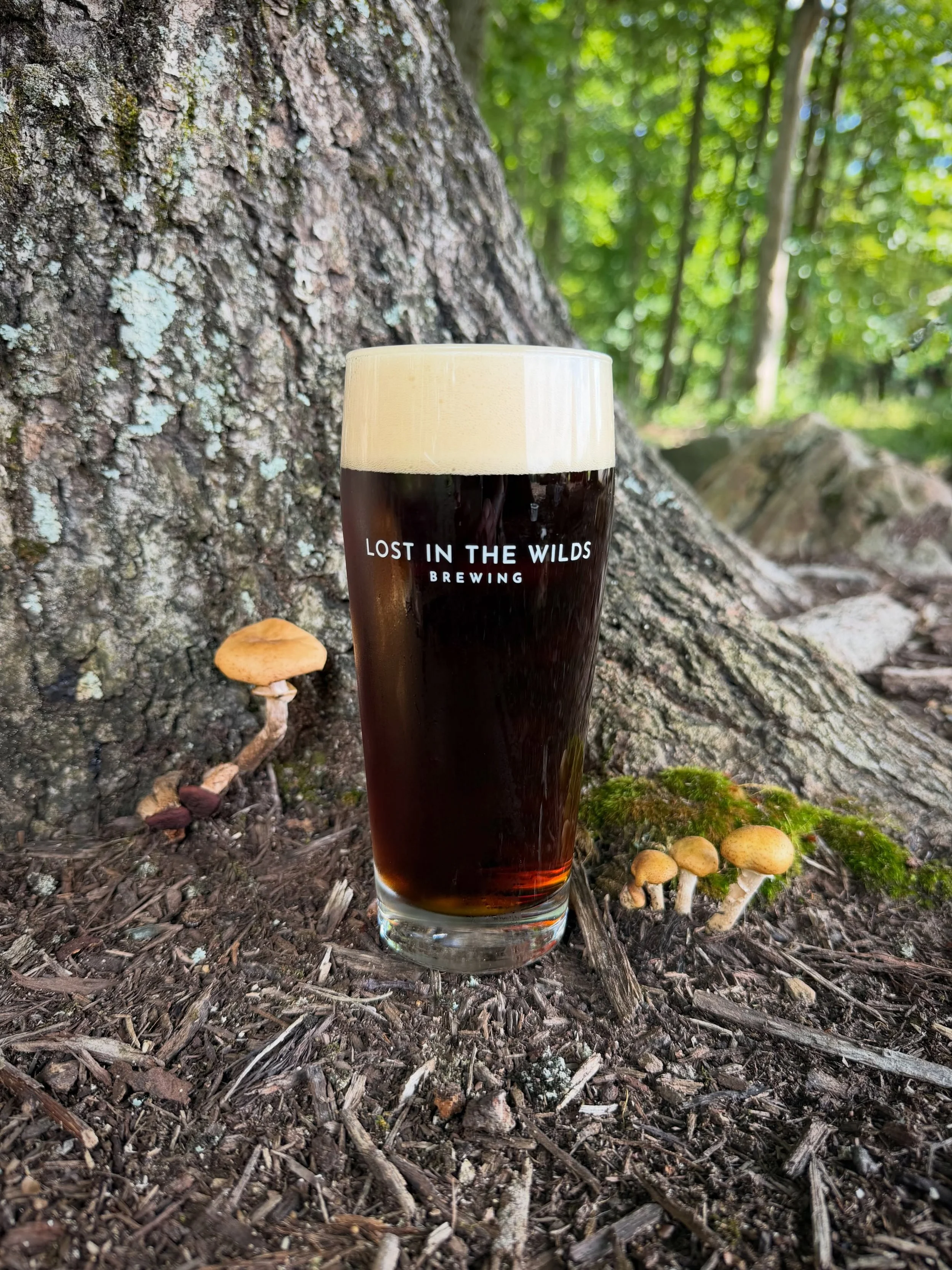 🍺 Bear Fox Brown Ale 🐻🦊

Smooth malty backbone with low hop bitterness, a sweet brown sugar and raisin finish. This beer is made for kicking back after a day in the wilds🌿

Come grab a pint and see why this one is a favorite around here🍻

#Brown