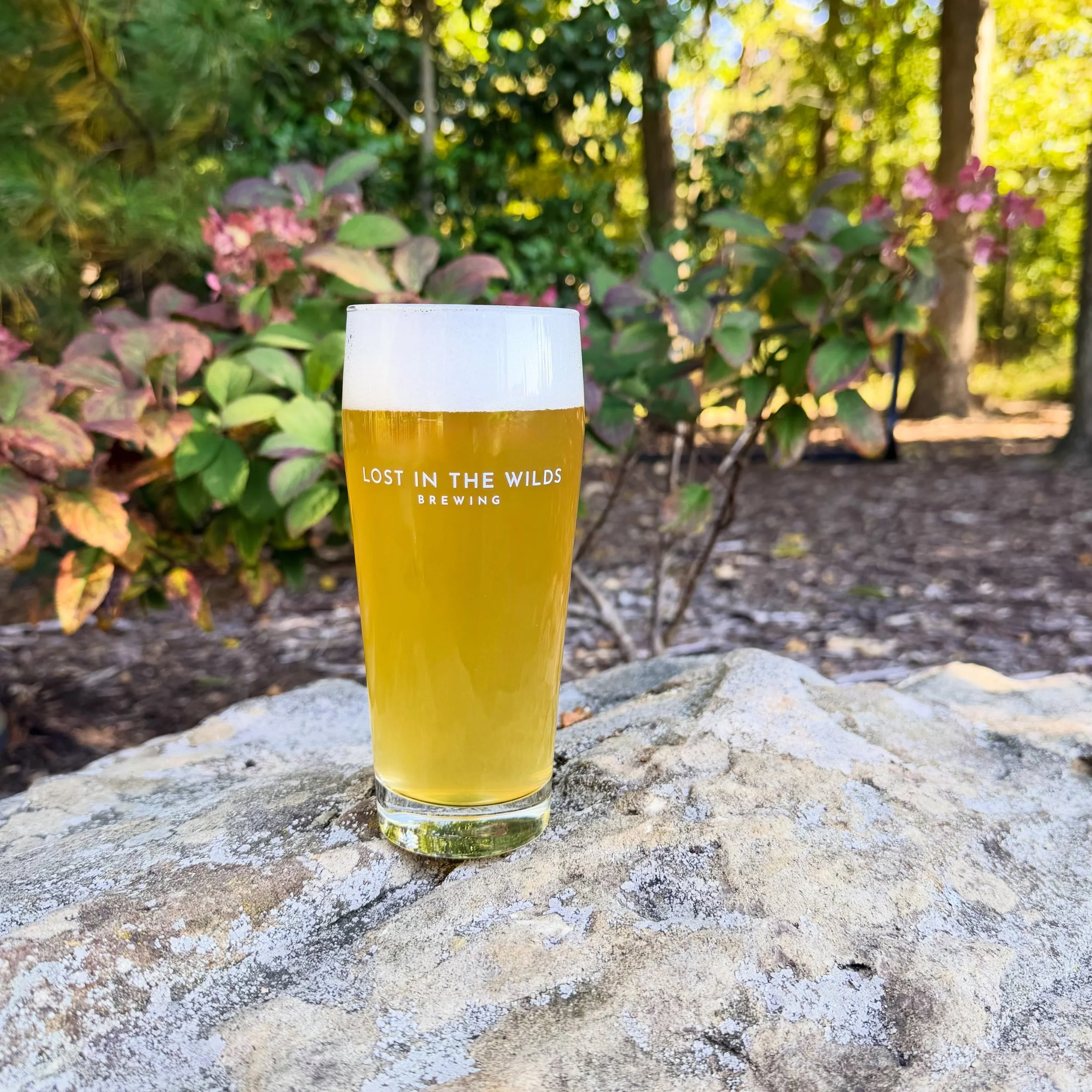 Harvest Moon Hefeweizen 🍂🌕🌾
⠀
A fresh new beer for colorful autumn days and crisp cool nights. A refreshing and easy drinking traditional Hefeweizen. Pale straw color and light bodied. Banana &amp; Clove flavors. 4.5% ABV
⠀
#HarvestMoon #Hefeweize