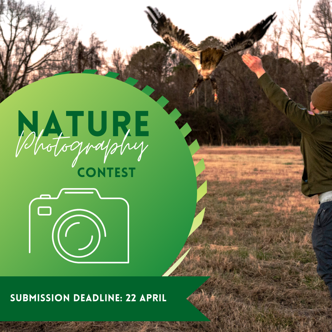 Nature Photography.png