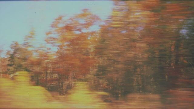 Expired e6 #film, wonky point-and-shoot #35mm.