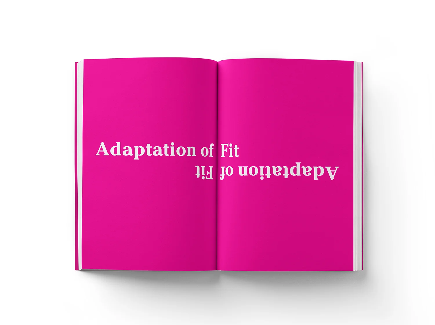 adapatation-of-fit-10.jpg