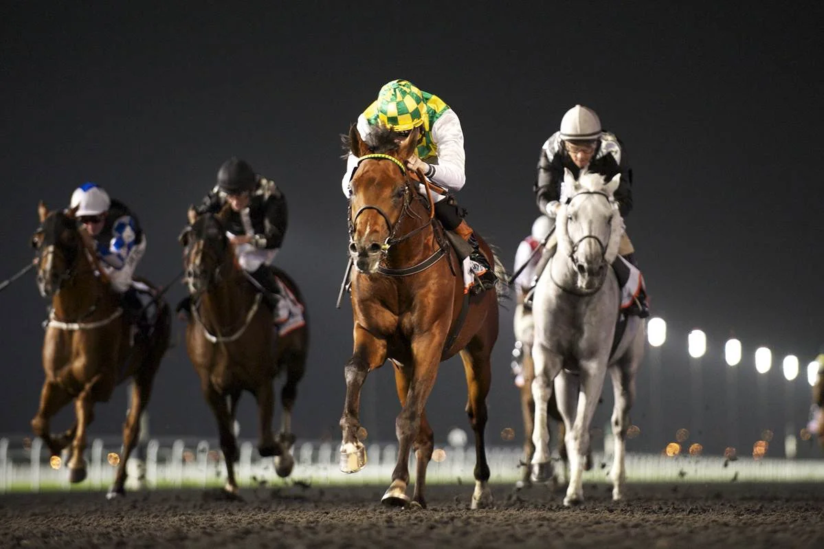 rabbah_de_carrere_richard_hughes_wins_the_mazrat_al_ruwayah_group2_for_trainer_majed_al_jahouri_at_the_fourth_racing_at_meydan_meeting_on_december_19_2013.jpg