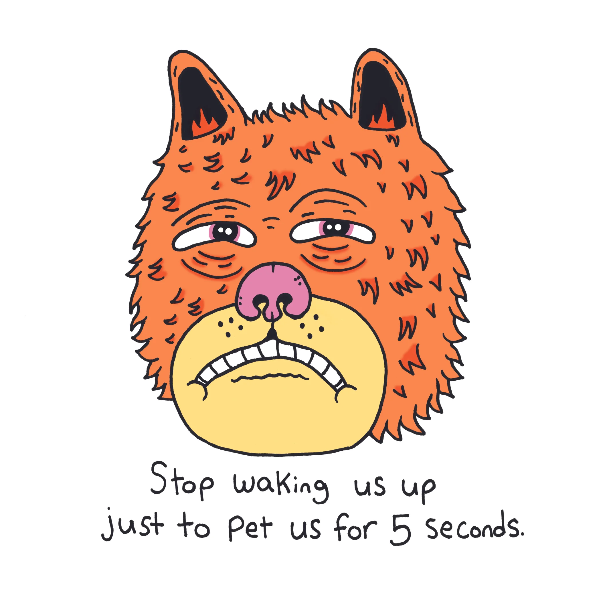 madcatOFFICIAL.jpg