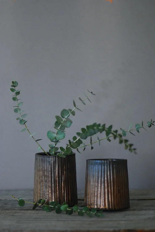 Myrth_Webpic_02JAN2015-19.jpg
