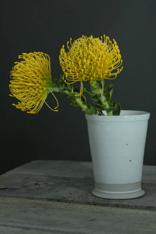 Myrth_Webpic_02JAN2015-1.jpg