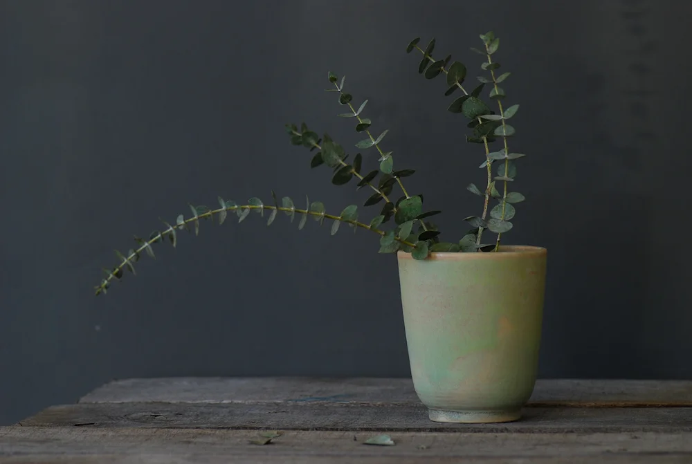Myrth_Webpic_02JAN2015-21.jpg