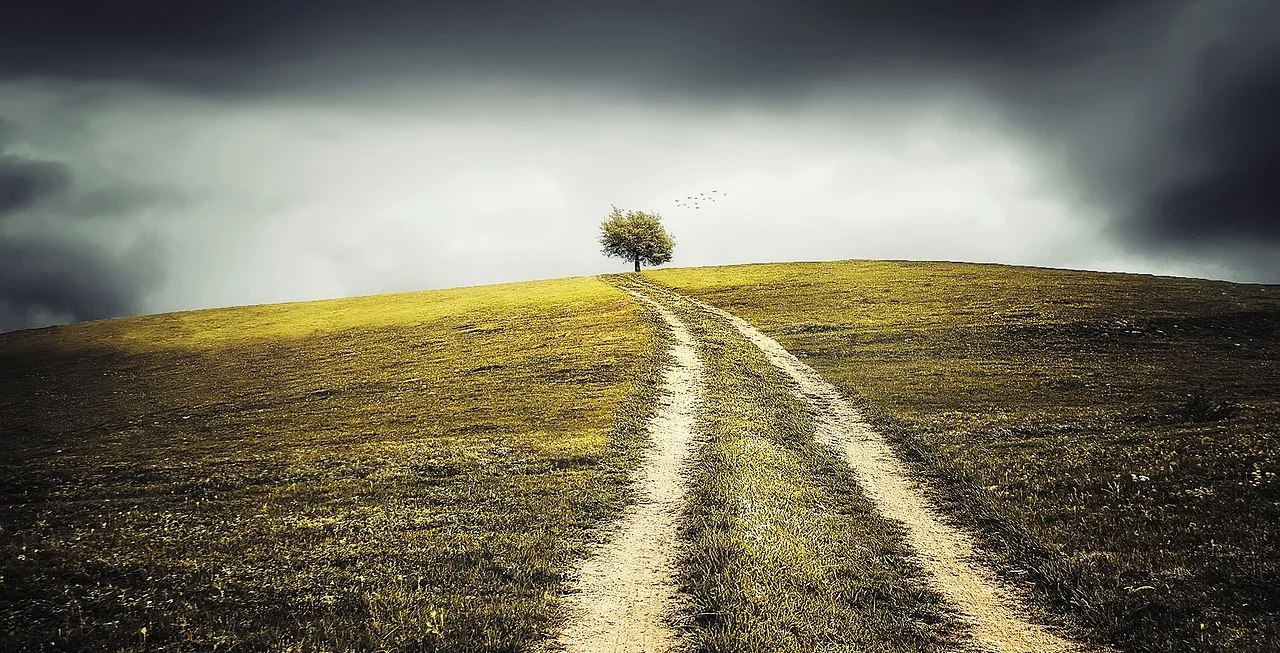 Photo Cred: Pixabay.com