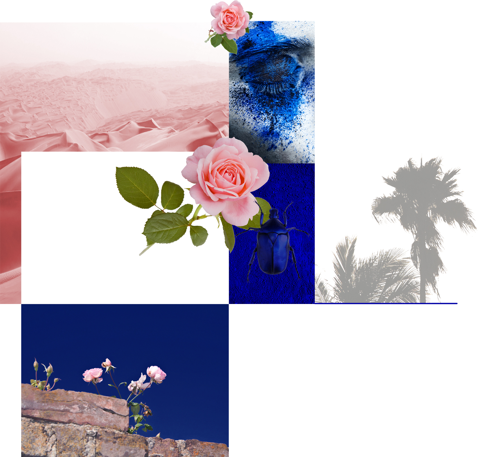 cobalt_moodboard.jpg