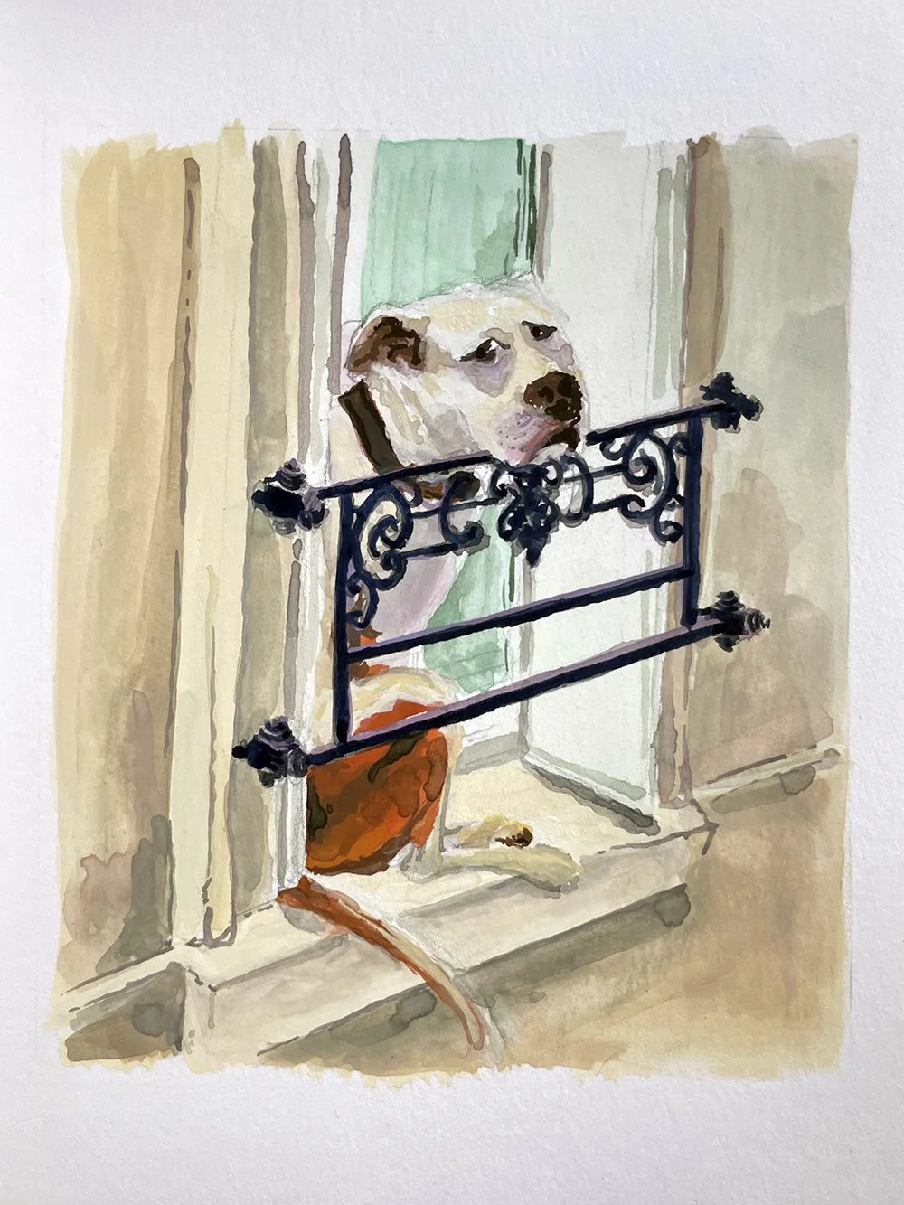 DoggieInTheWindow.jpg
