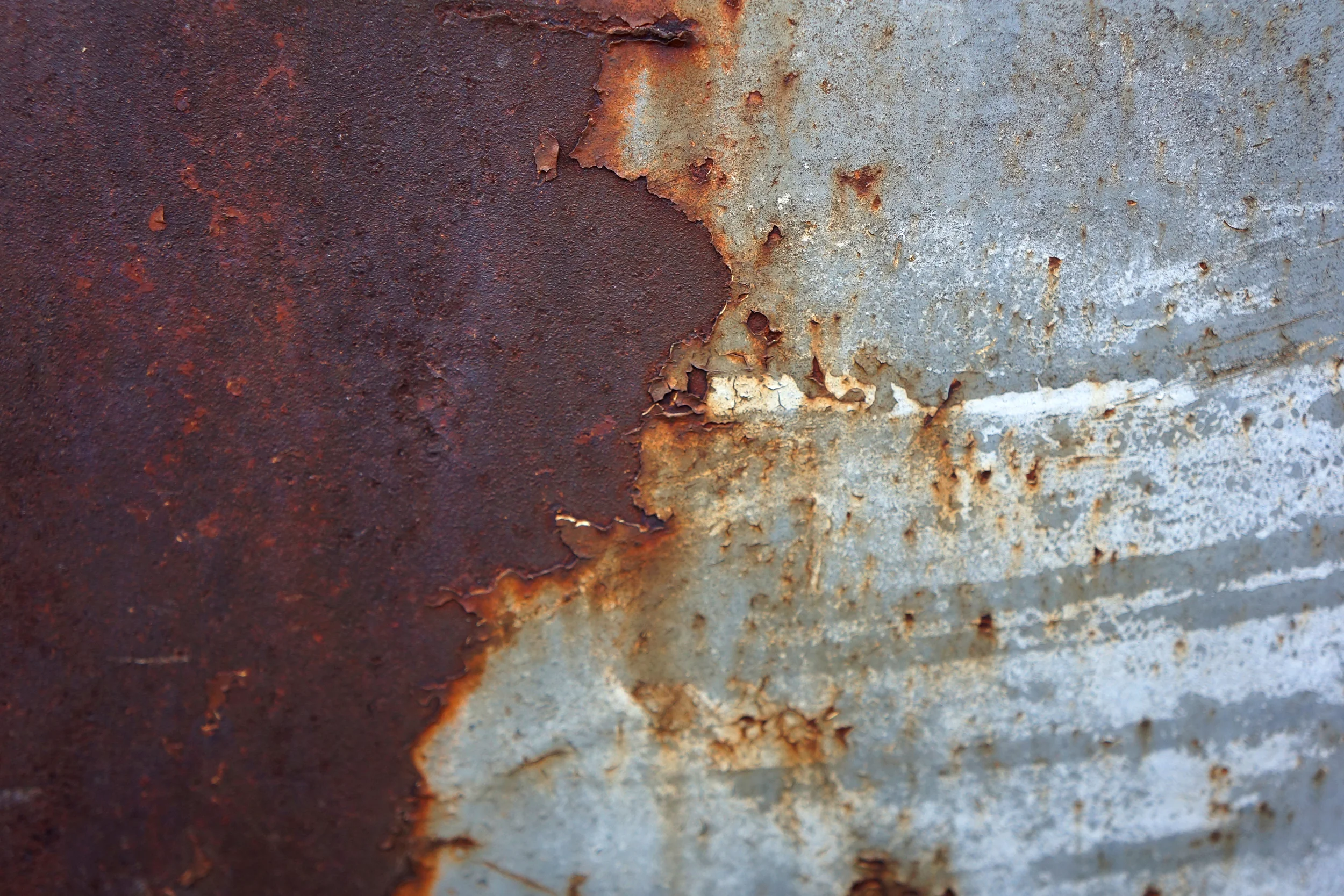 DSC01413.web.jpg