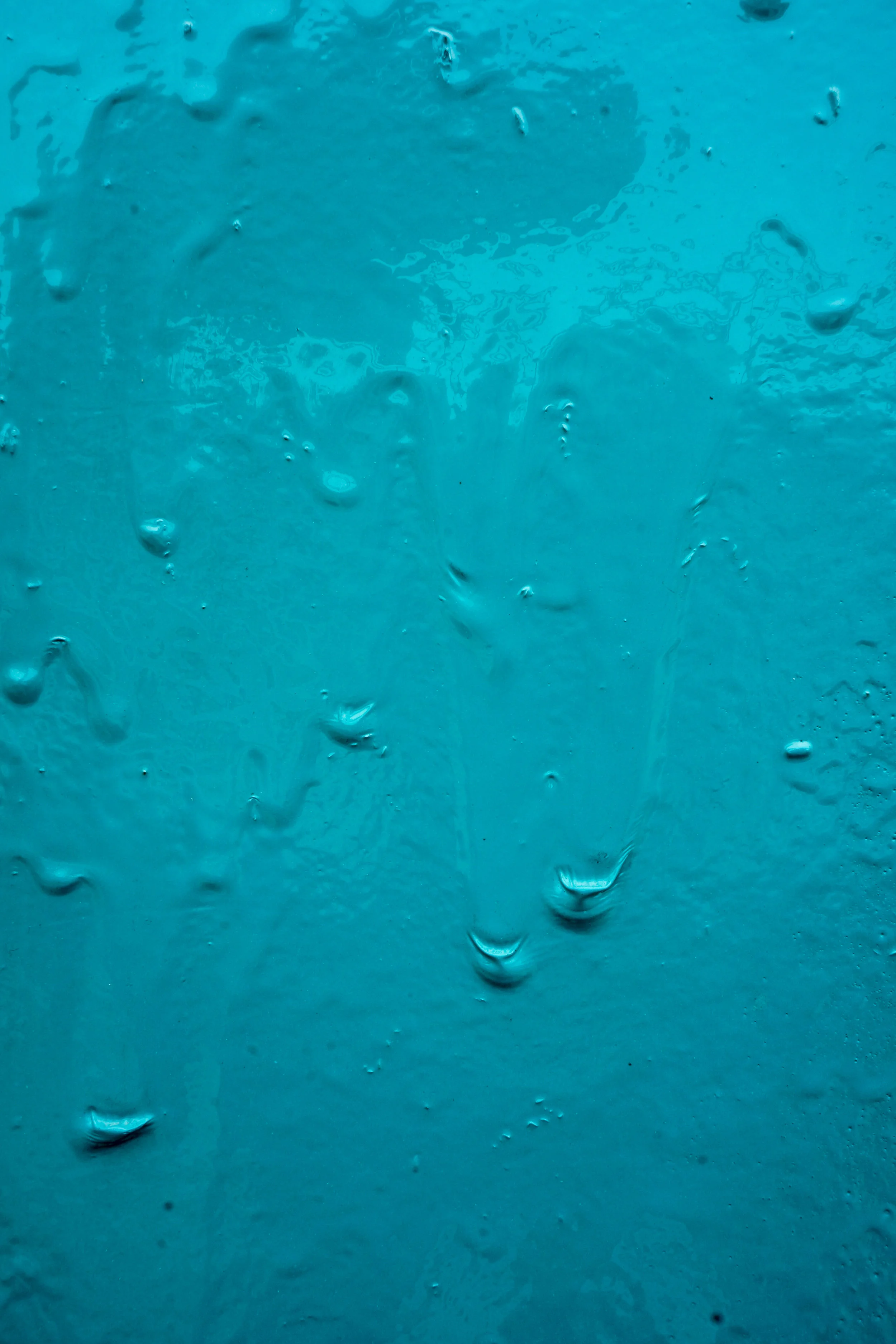 DSC02130-2.jpg