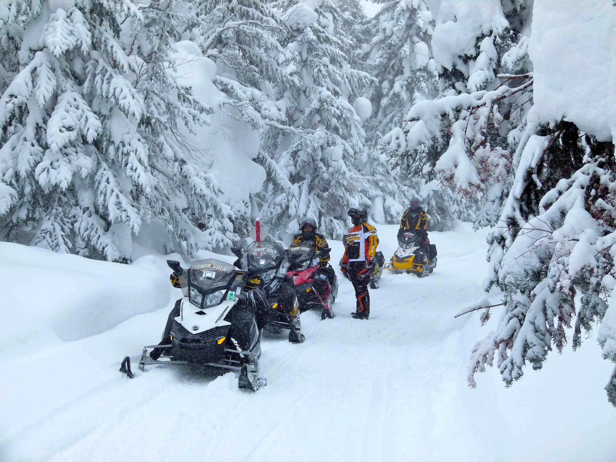 Snowmobile 2.jpg