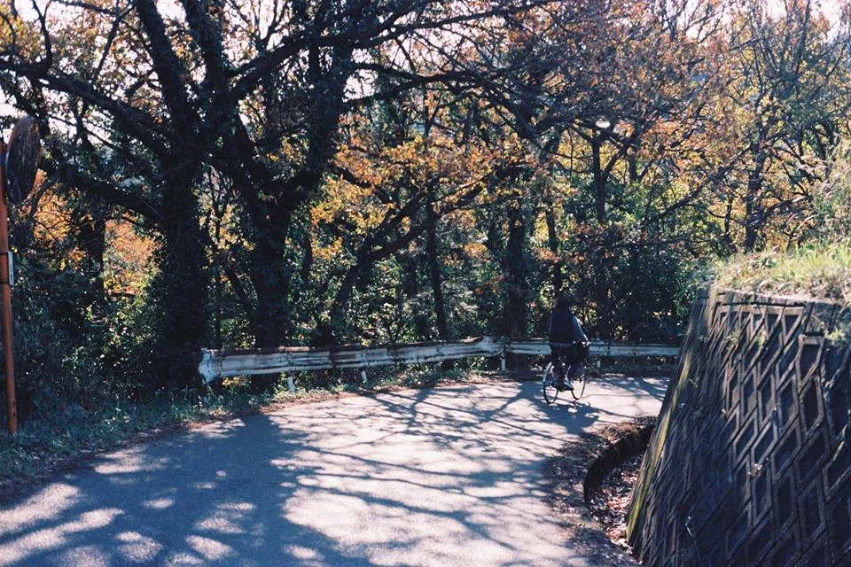 往豊島美術館的路上......