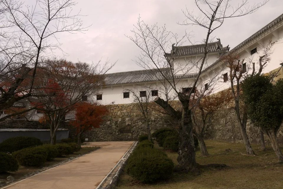 千姬的一生 http://zh.wikipedia.org/wiki/%E5%BE%B7%E5%B7%9D%E5%8D%83%E5%A7%AC