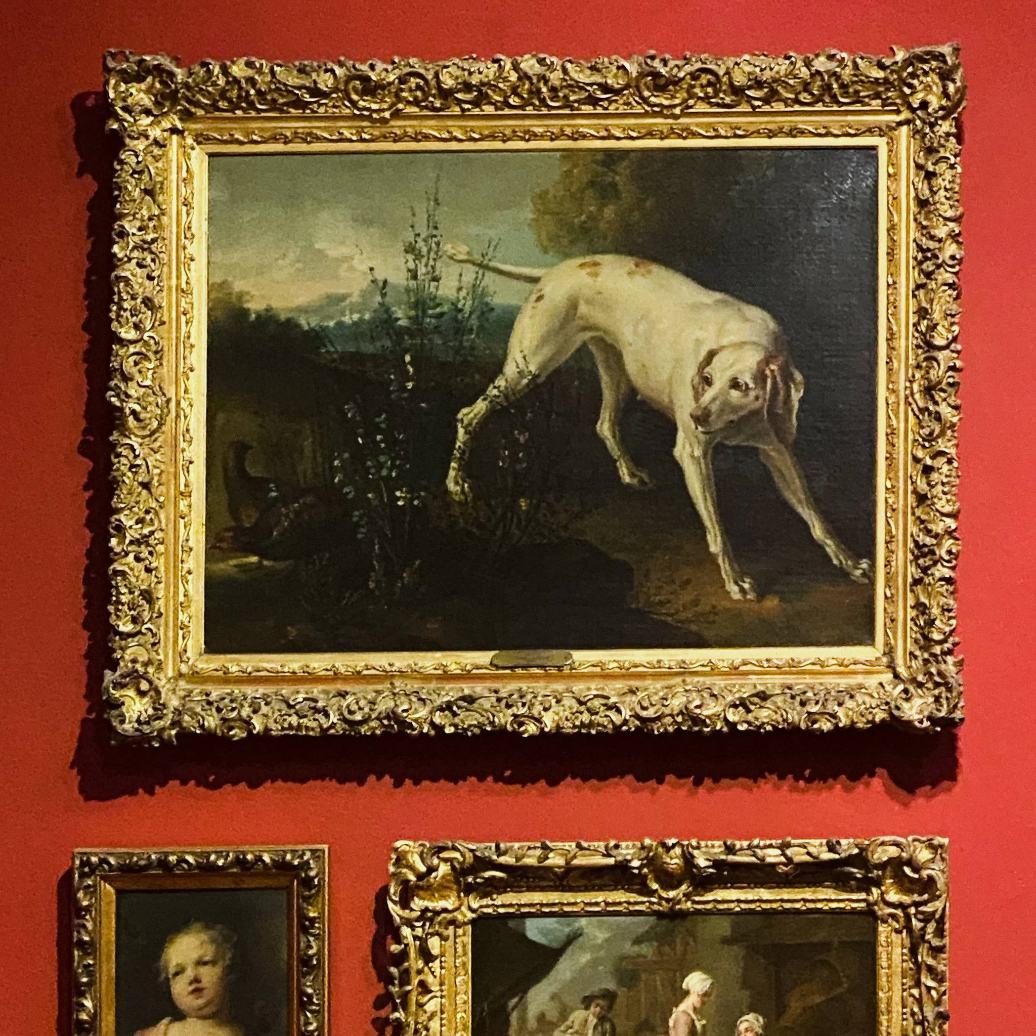 Gallery wall at the Museo Nacional de Bellas Artes in Buenos Aires showing a painting of a dog looking for quail over two smaller paintings, one featuring a child's portrait
