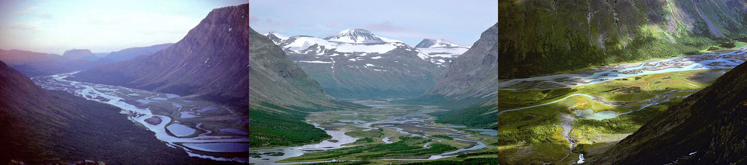 Rapasalet