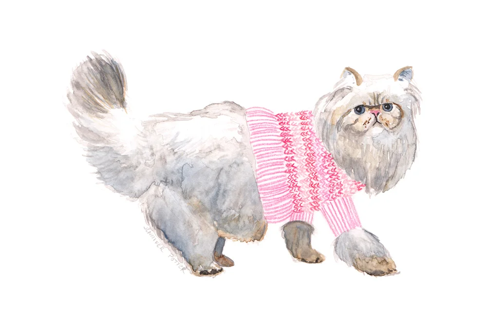 pink-lr.jpg