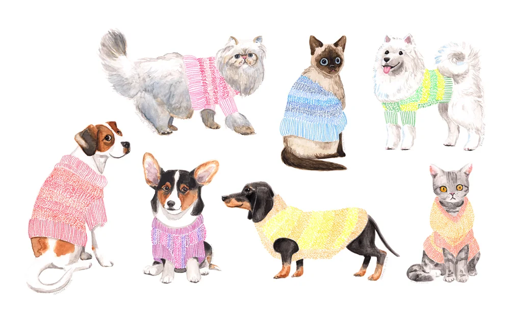 Animals in Sweaters Charity Auction