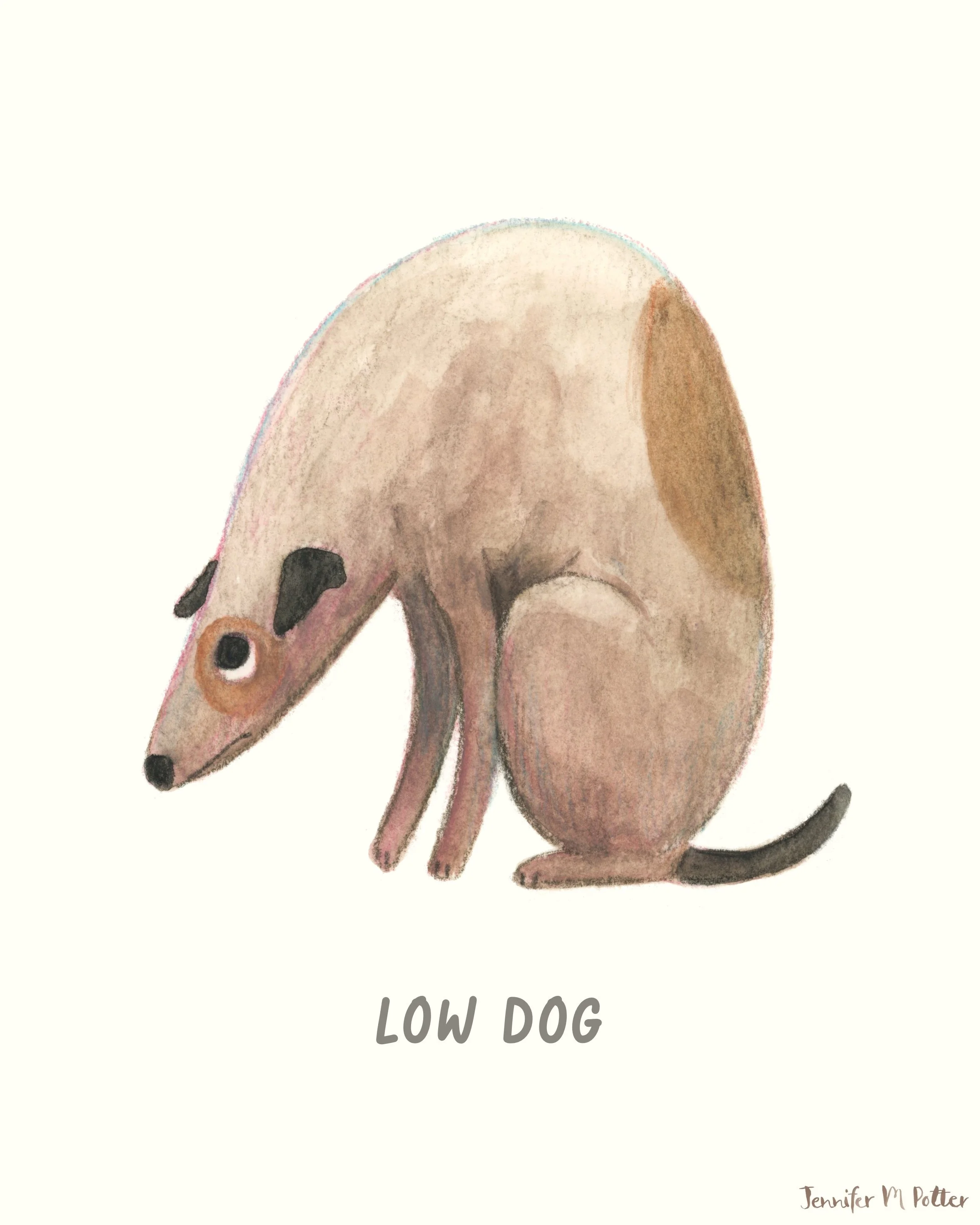 spot-lowDog.JPG