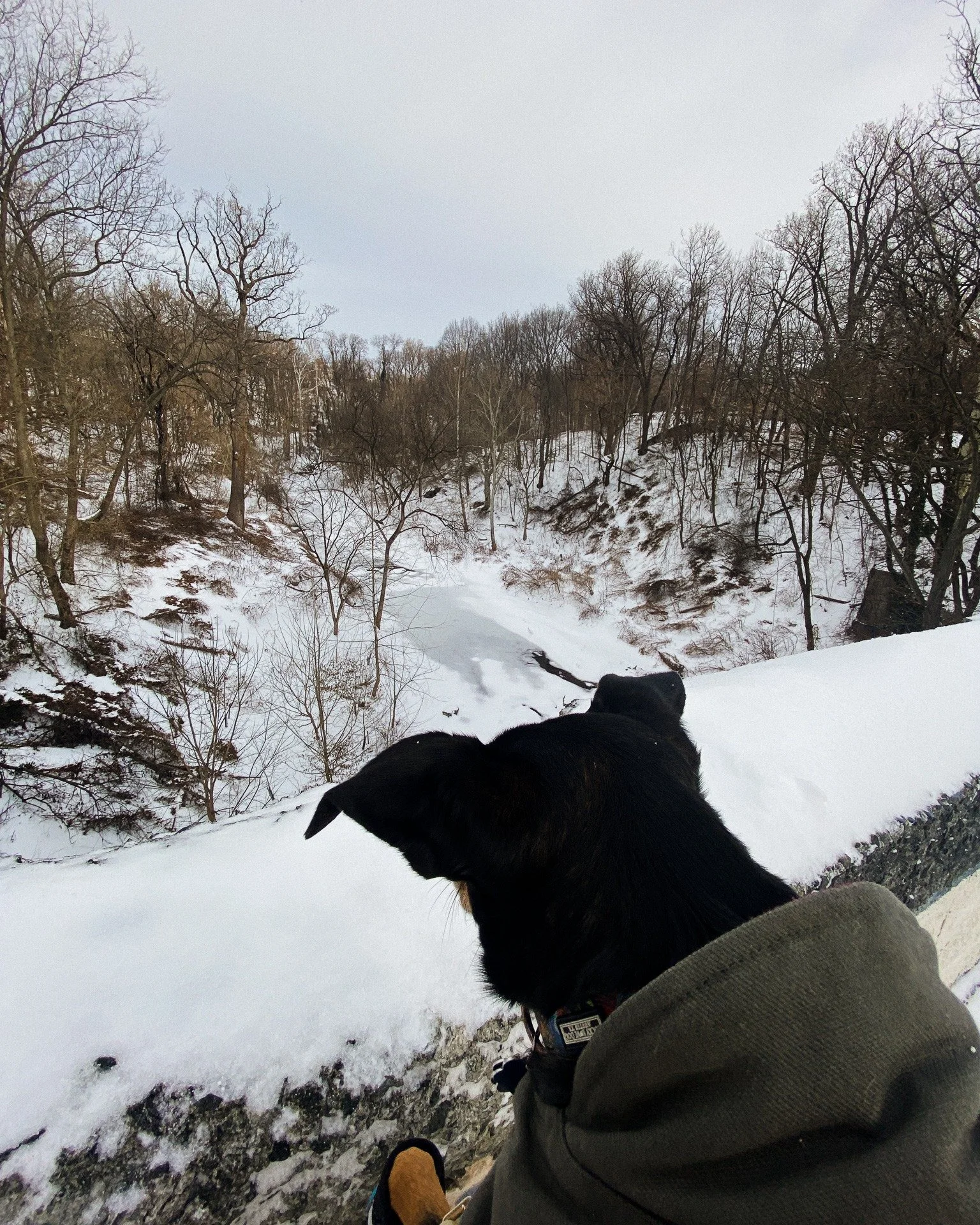 Shoveling neighbors' sidewalks. Walking Frisket through quiet streets. Calling senators. Donating coats. Working on the shop. Trying to hold all of it at once.

More on the blog&mdash;link in bio.