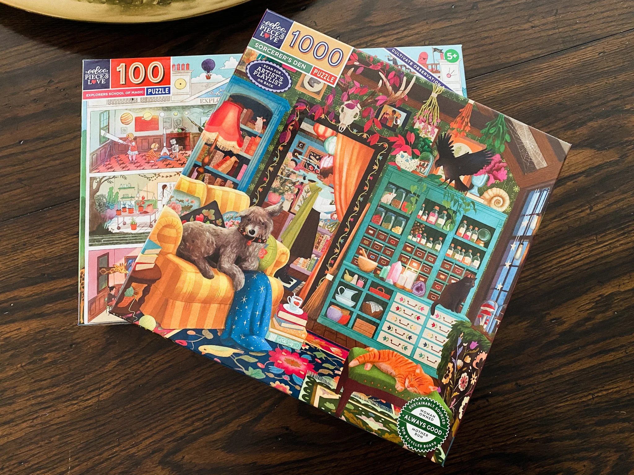 Photo of two puzzles illustrated by me and published by eeBoo.