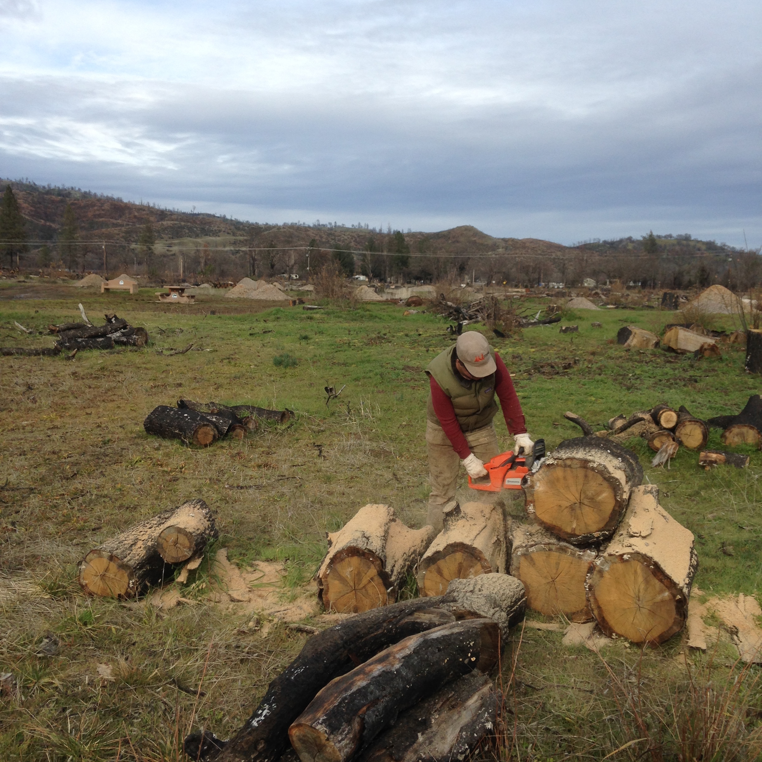 Shasta Krueger cutting up oak that was burned in the Sawmill fire last year. This wood will be used to heat the resident house, studio and in the kilns