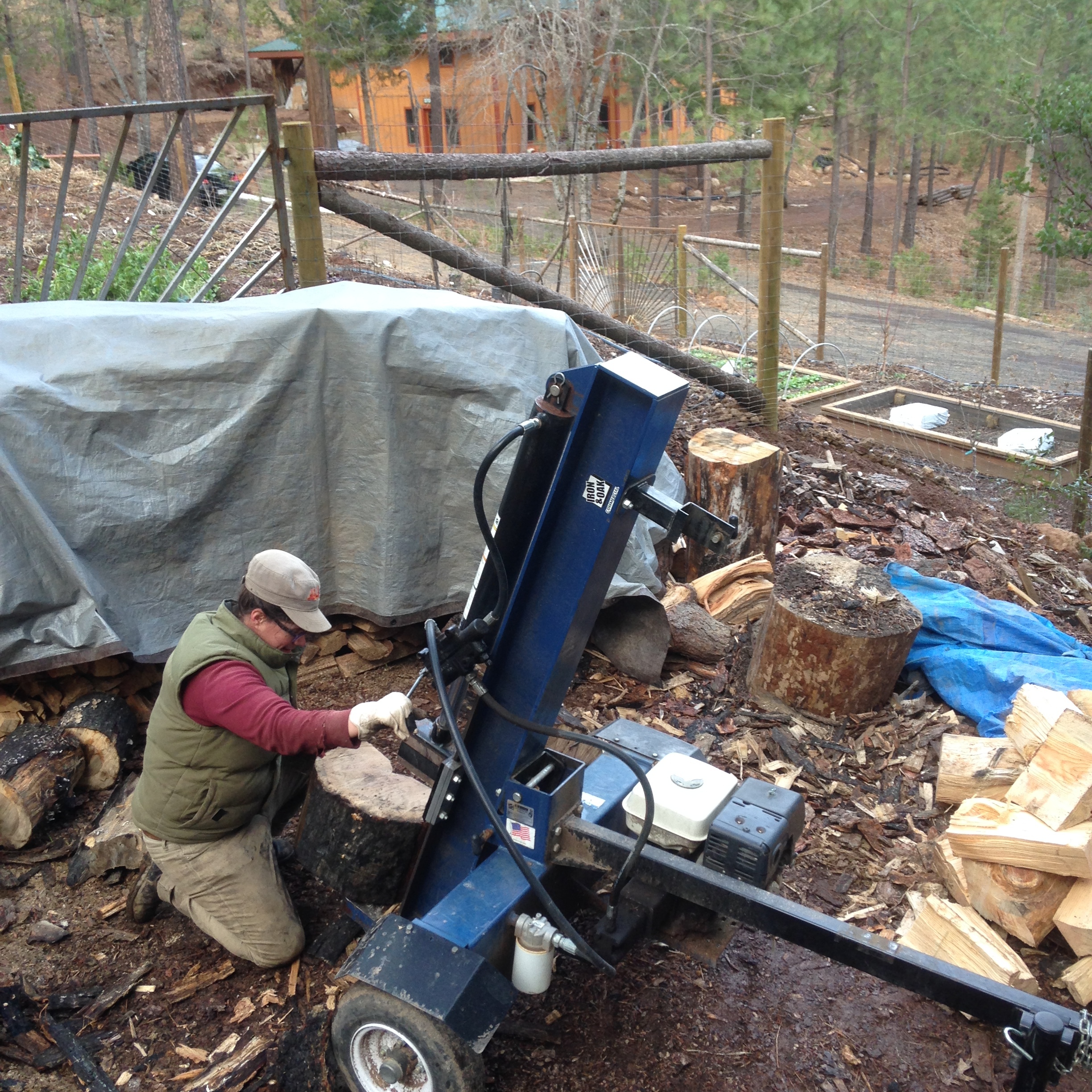 Shasta Krueger splitting wood. 