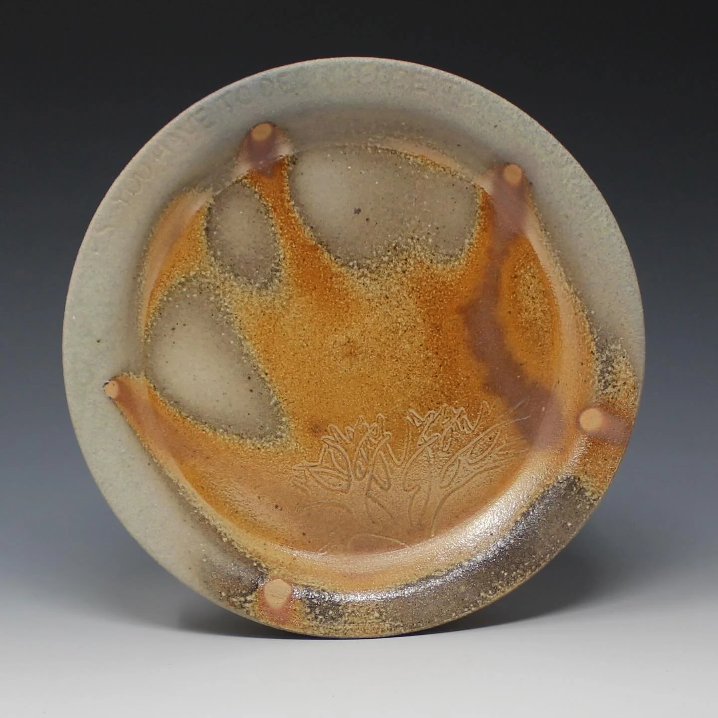 This gorgeous plate by resident artist Karley Deets (@swampwitchceramics) is part of our upcoming online 2025 Holiday Sale &amp; Exhibition! 🎄🏺❄️ 🎁 ✨

Plate Lichen &ldquo;Sometimes You Have to Decompose to Grow Again&rdquo; 
Stoneware, ^11 soda-fi