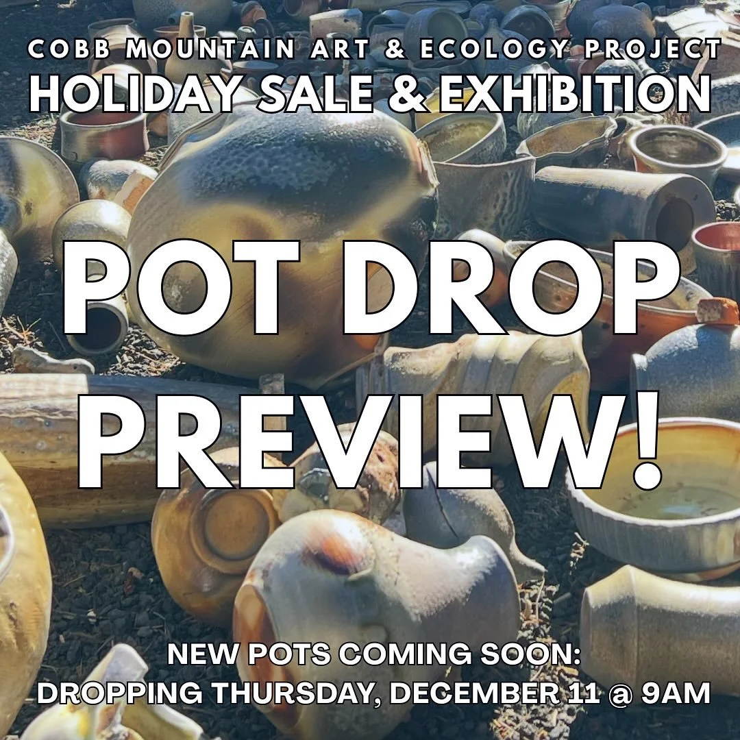 ‼️🏺Upcoming pot drop alert! 🏺‼️

Each one of these stunning pieces will be available in our Online Holiday Sale starting tomorrow, December 11th at 9am! 

Our shop features selected works from CMAEP founder Scott Parody and all of our current resid
