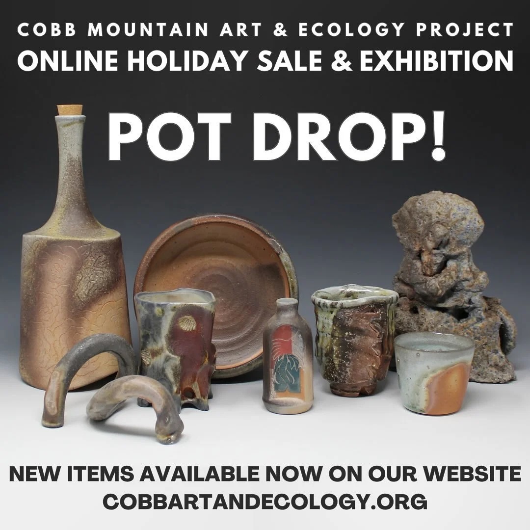 🚨POT DROP!🚨

New items are live on our online shop! Check out the latest works made right here at CMAEP. Browse the full collection on our website. Link in our bio!

#potdrop #potterysale #woodfired #sodafired #ornaments #pottery #artistresidency